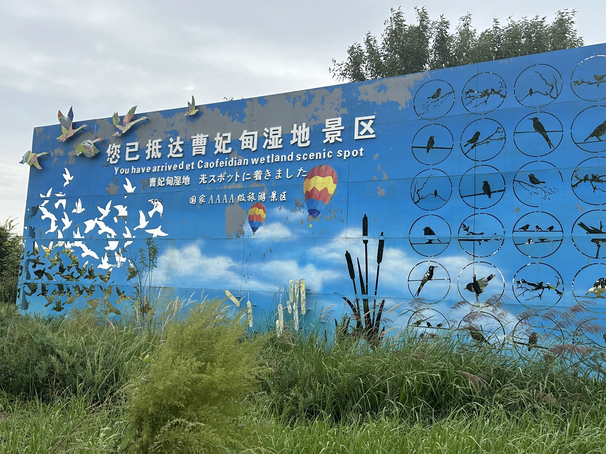 曹妃甸湿地景区旅行图片 1
