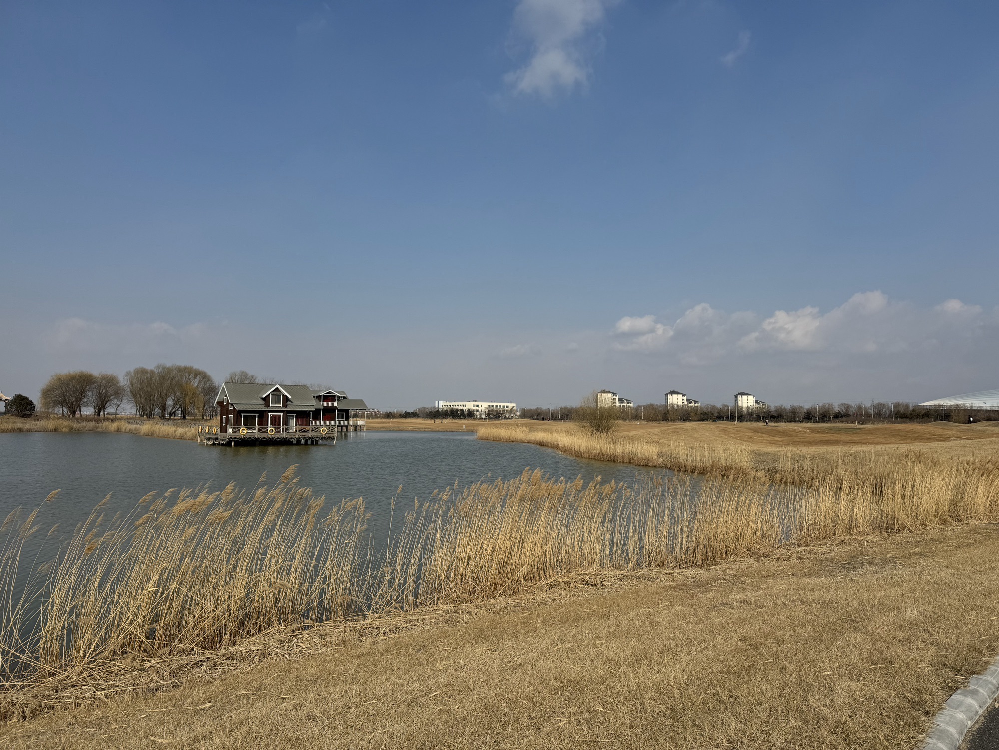 曹妃甸湿地景区旅行图片 3