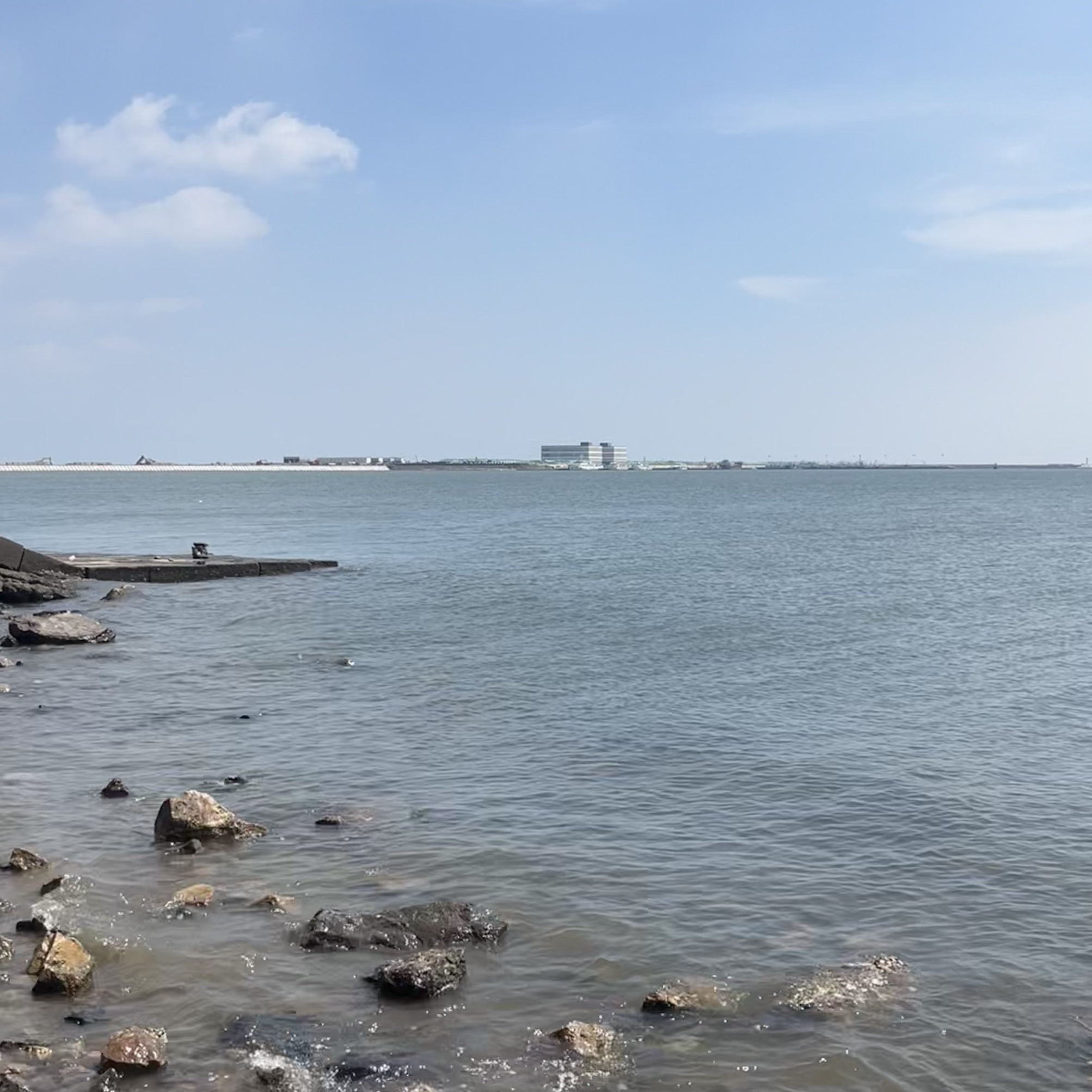 曹妃甸湿地景区旅行图片 1