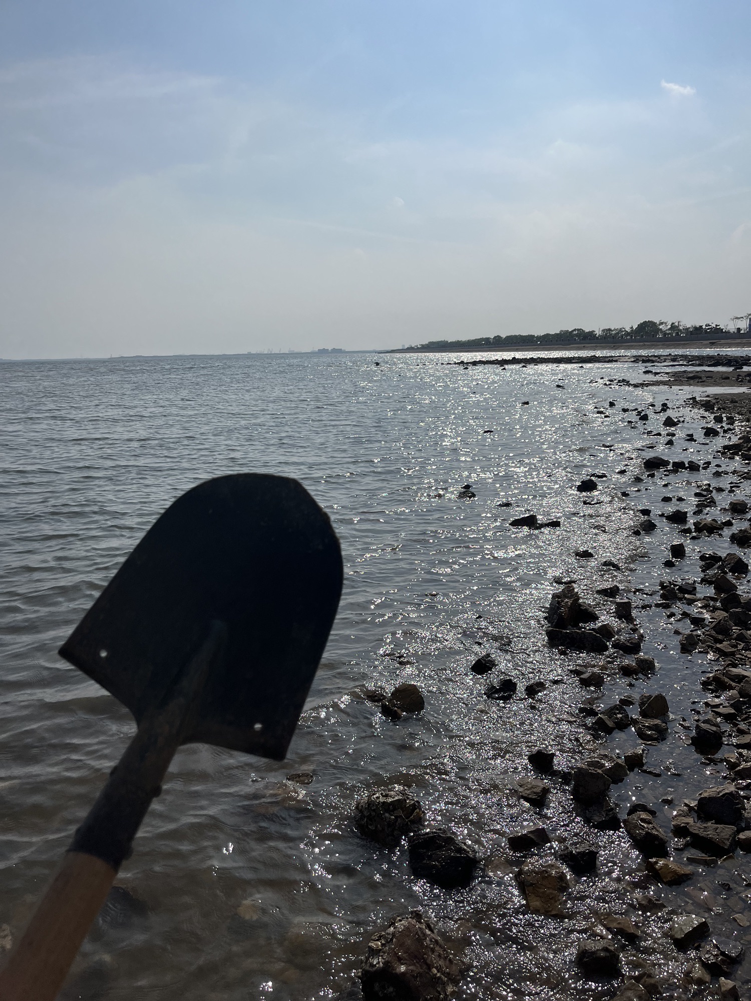 曹妃甸湿地景区旅行图片 3