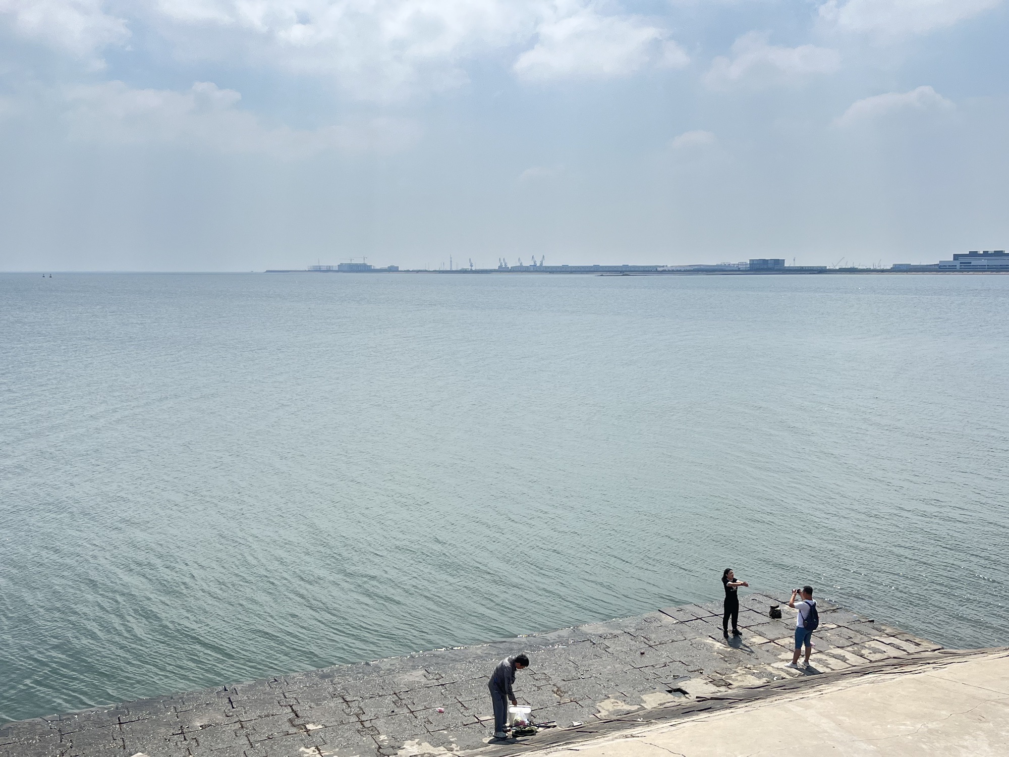 曹妃甸湿地景区旅行图片 2