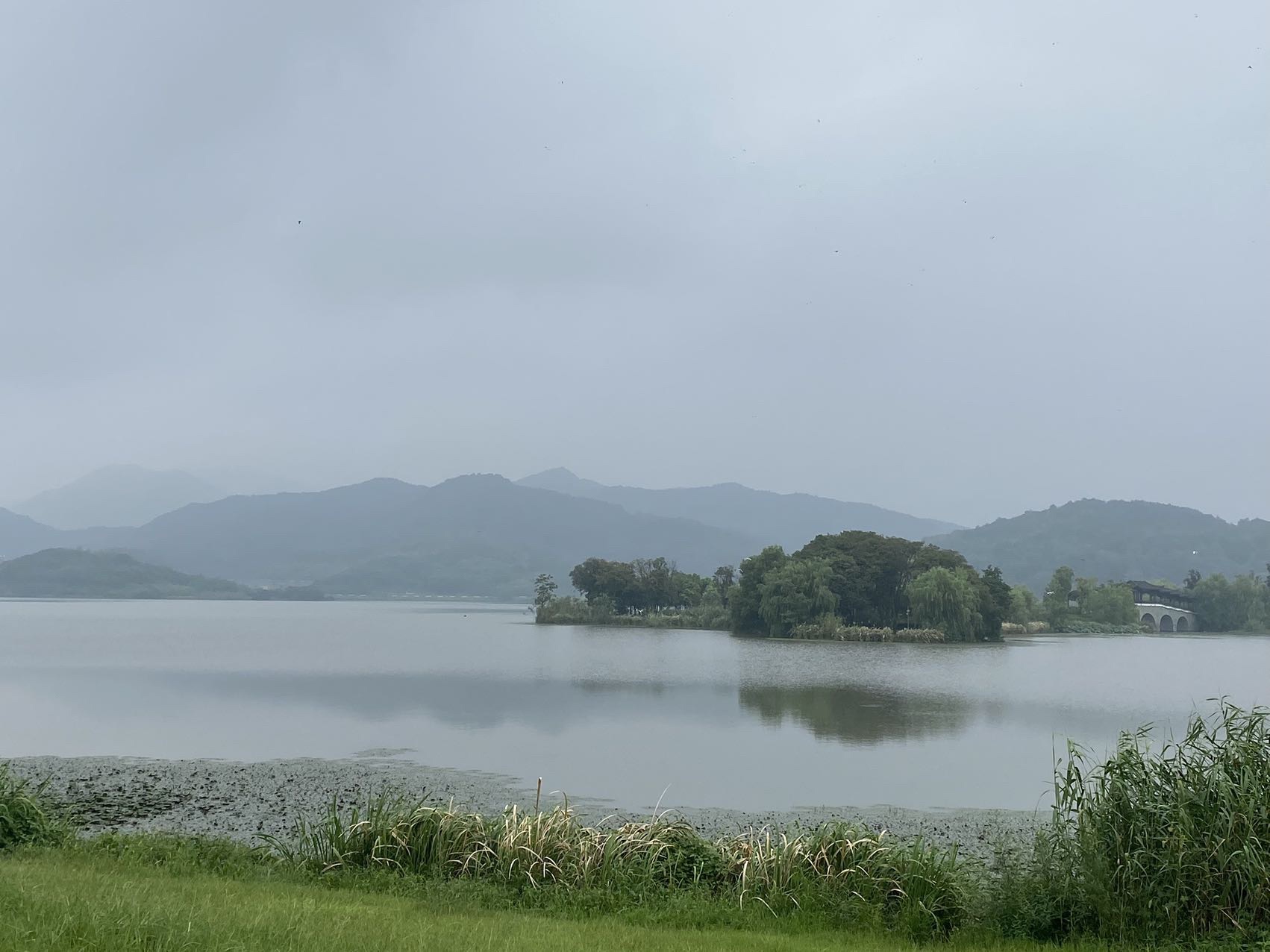皂李湖公园旅行图片 1