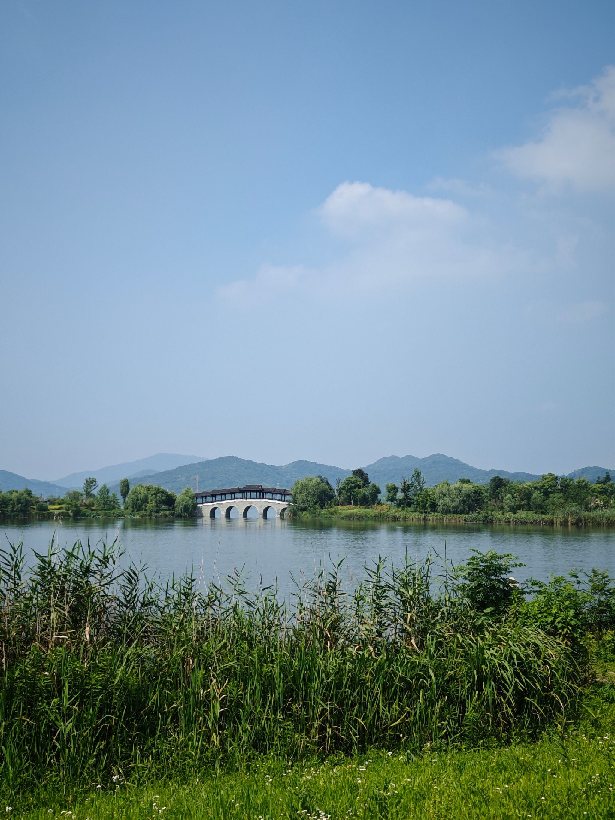 皂李湖公园旅行图片 1