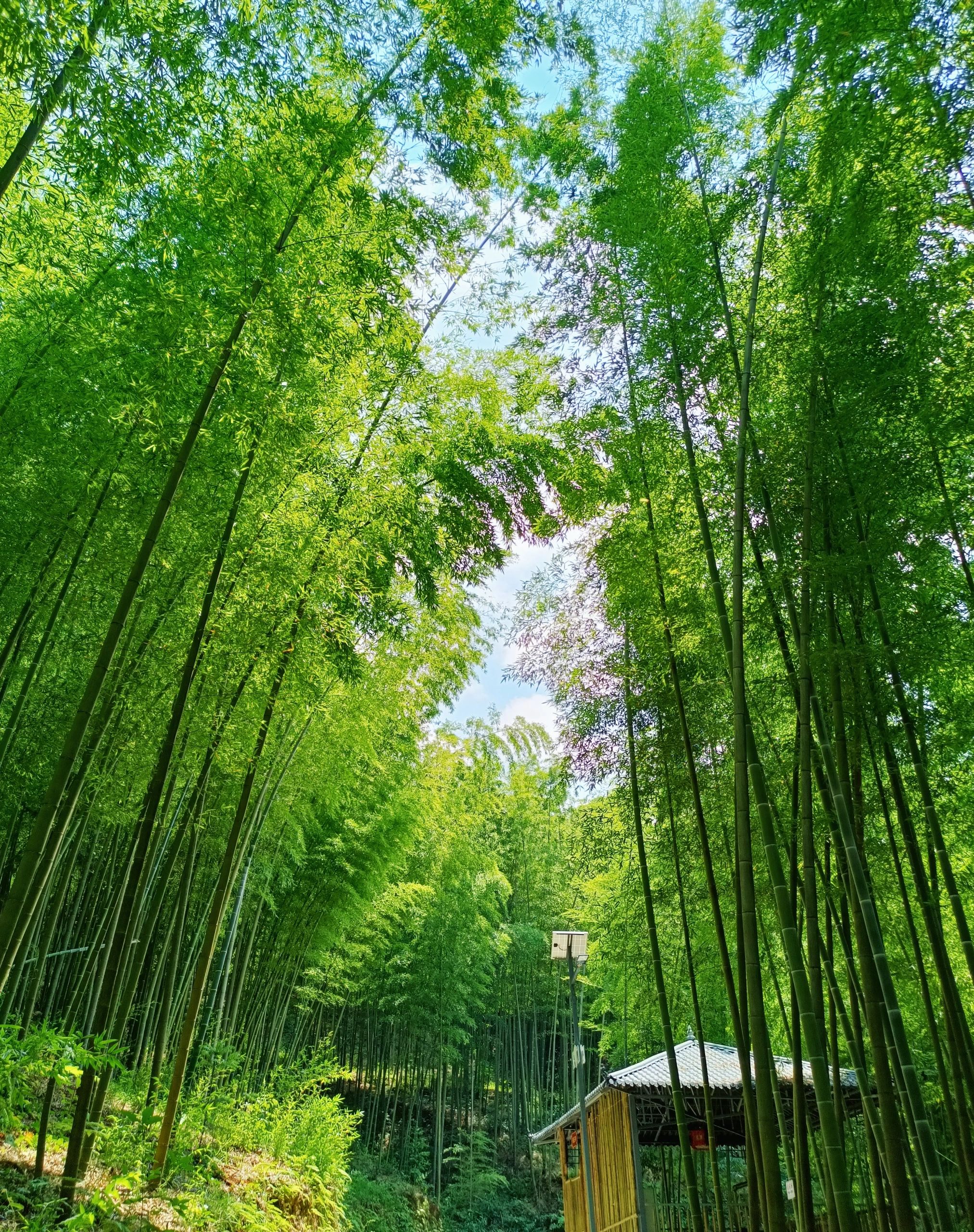 北川羌城旅游区