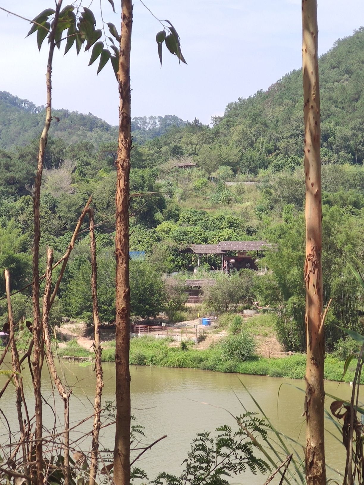 南江第一湾旅行图片 1