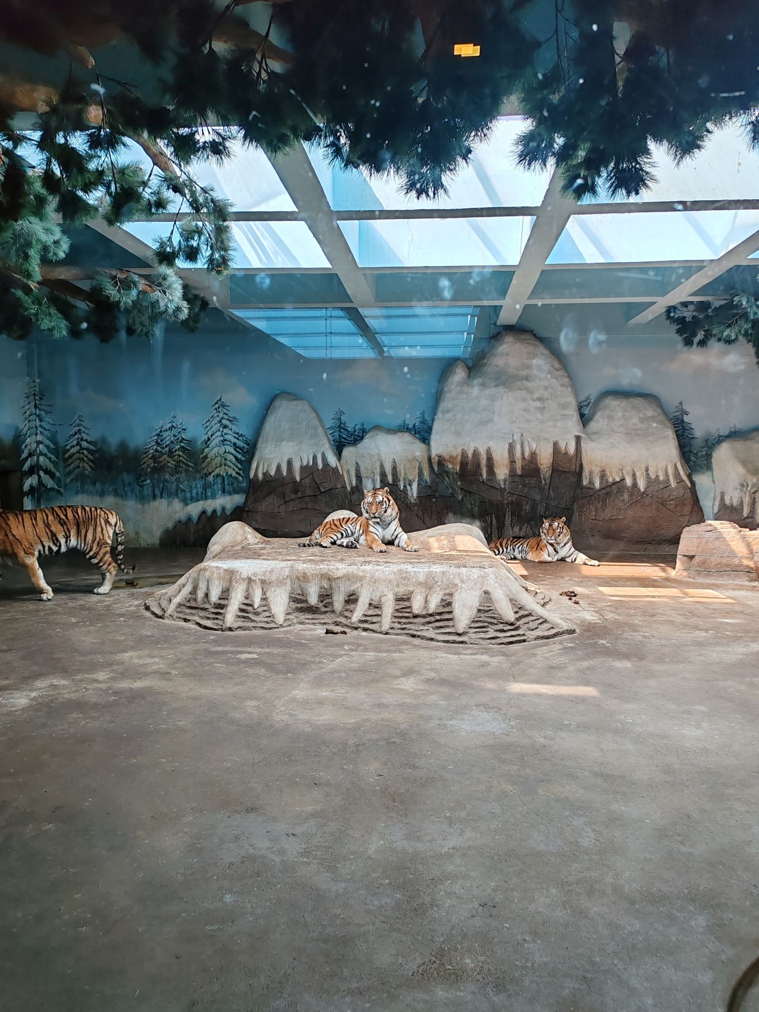 龙沙动植物园旅行图片 1