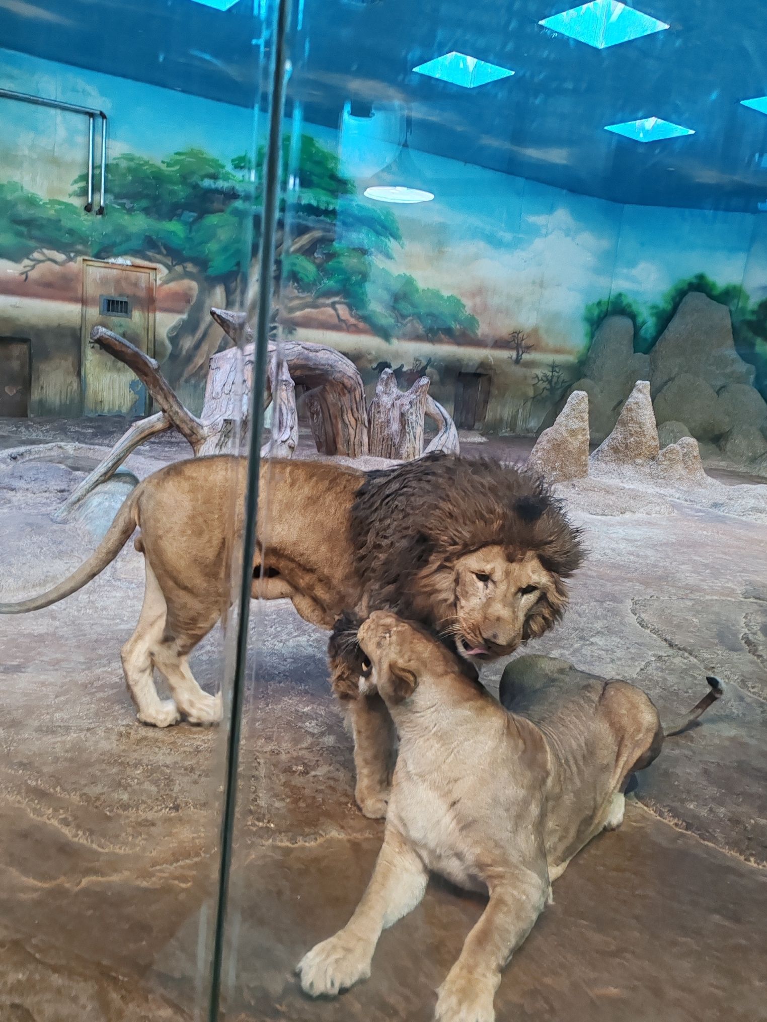 龙沙动植物园旅行图片 2