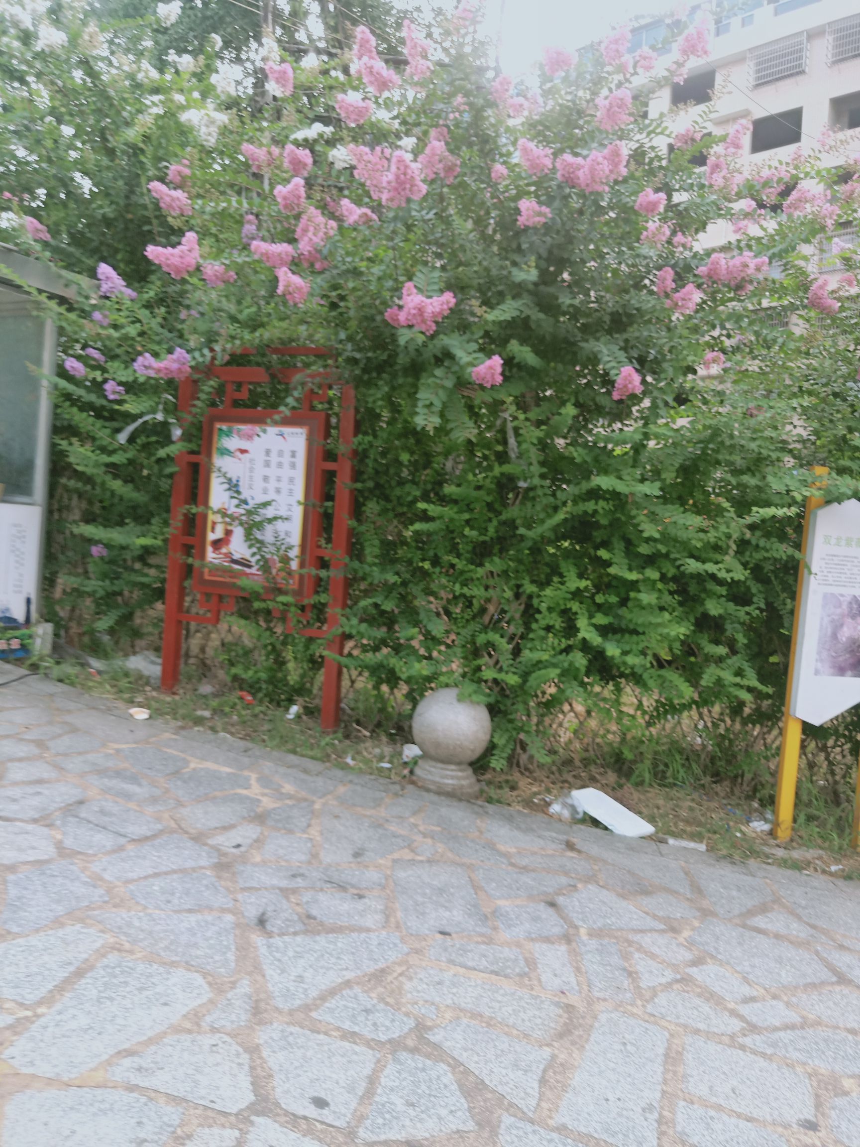 紫薇公园旅行图片 2