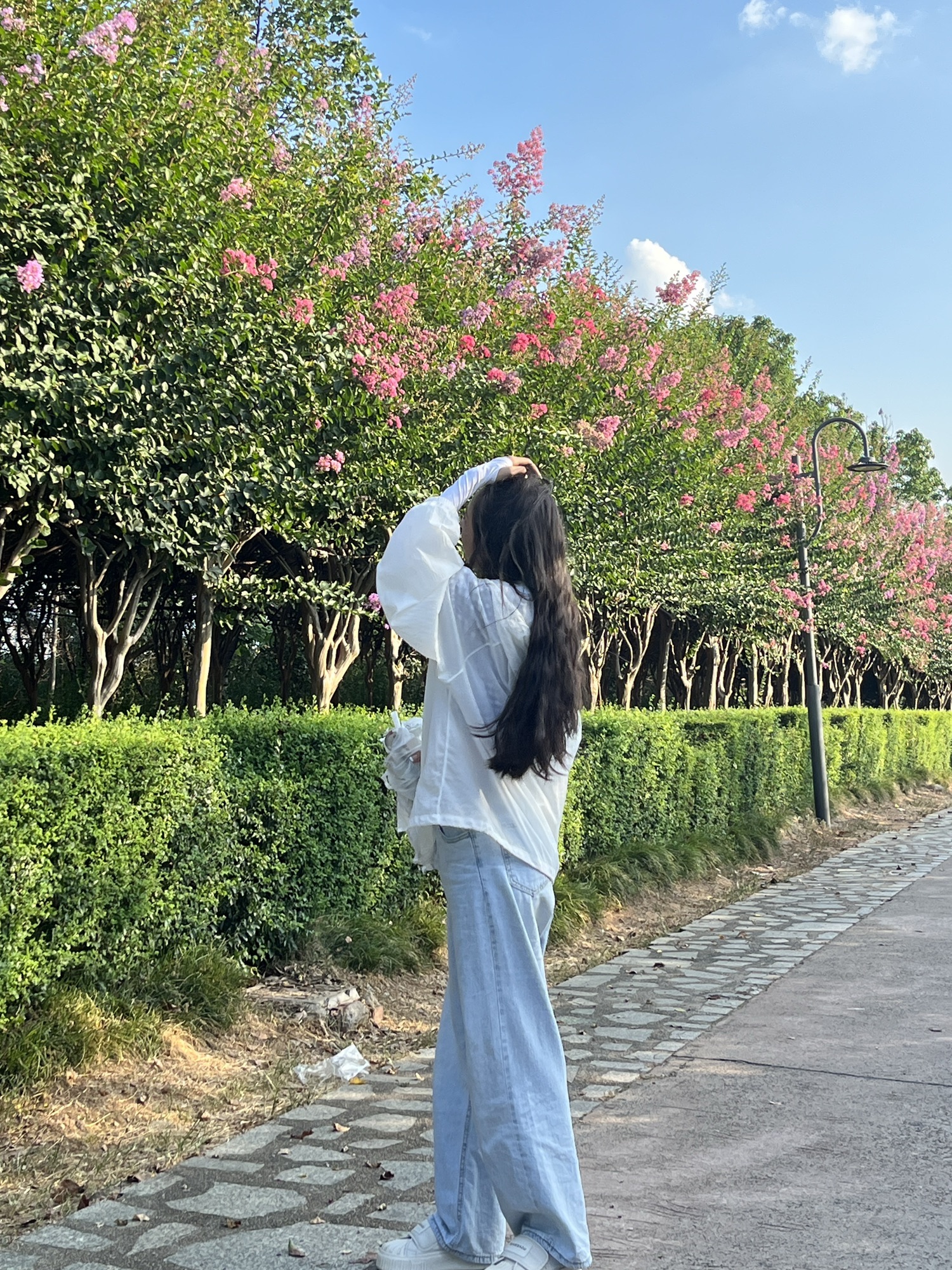紫薇公园旅行图片 3