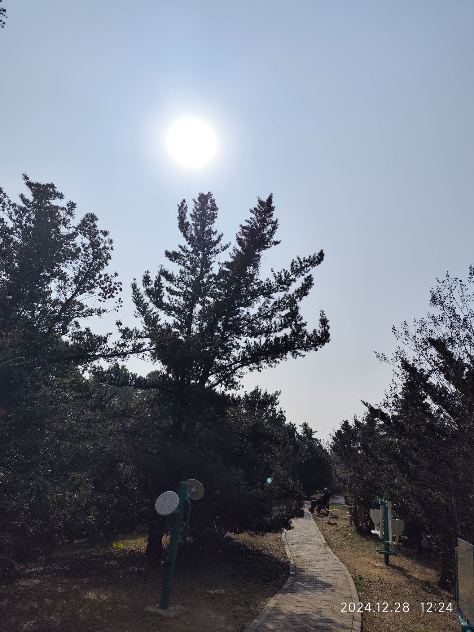 紫薇公园旅行图片 3