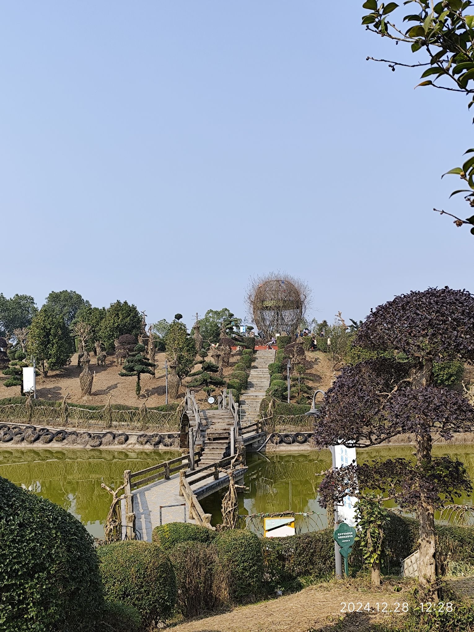 紫薇公园旅行图片 2