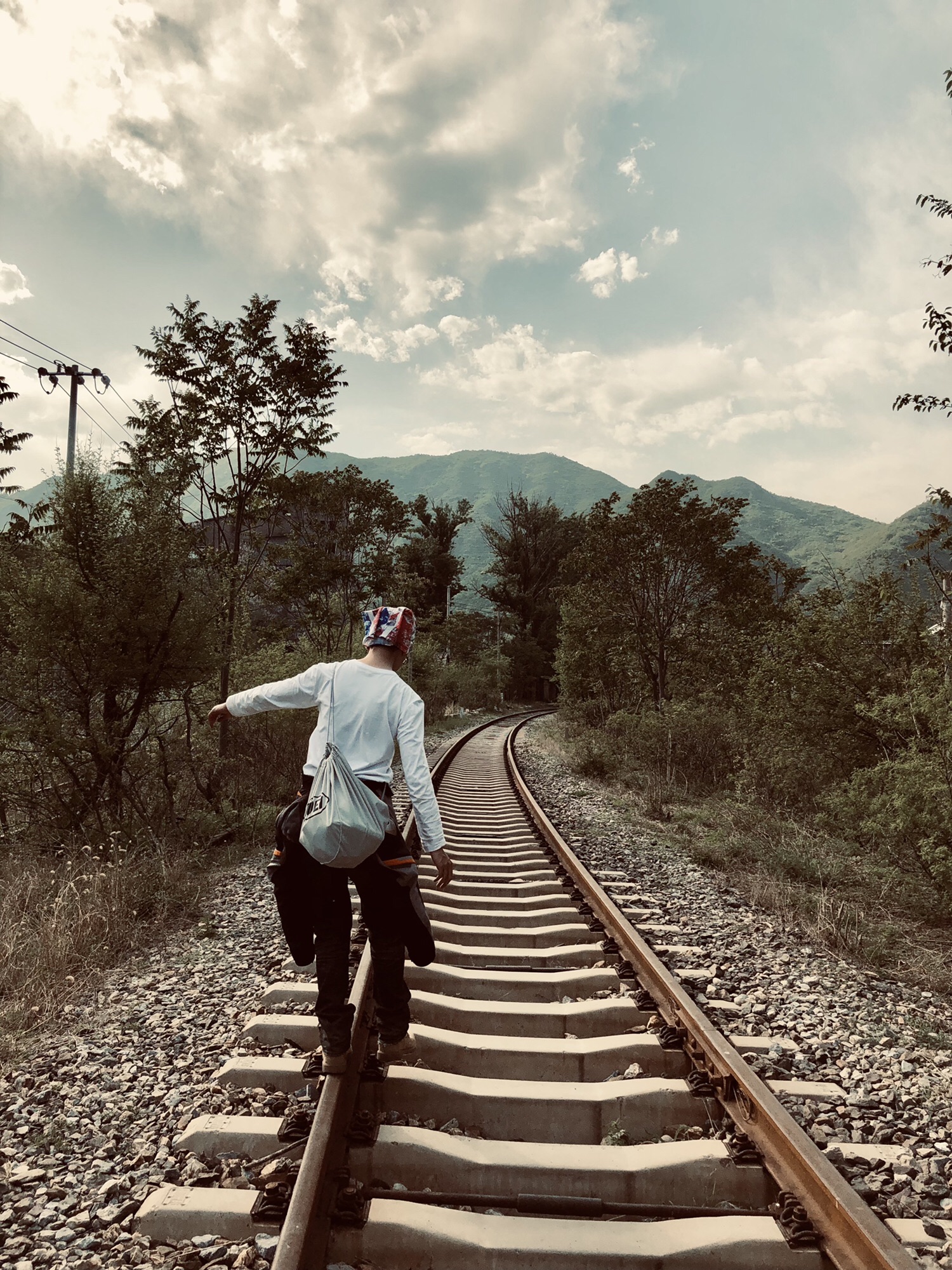 王平湿地旅行图片 1