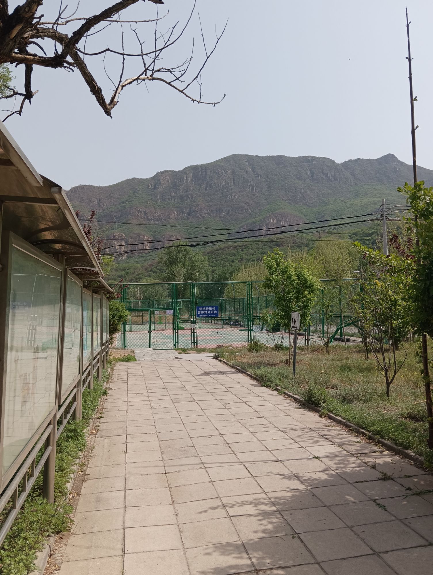 王平湿地旅行图片 1