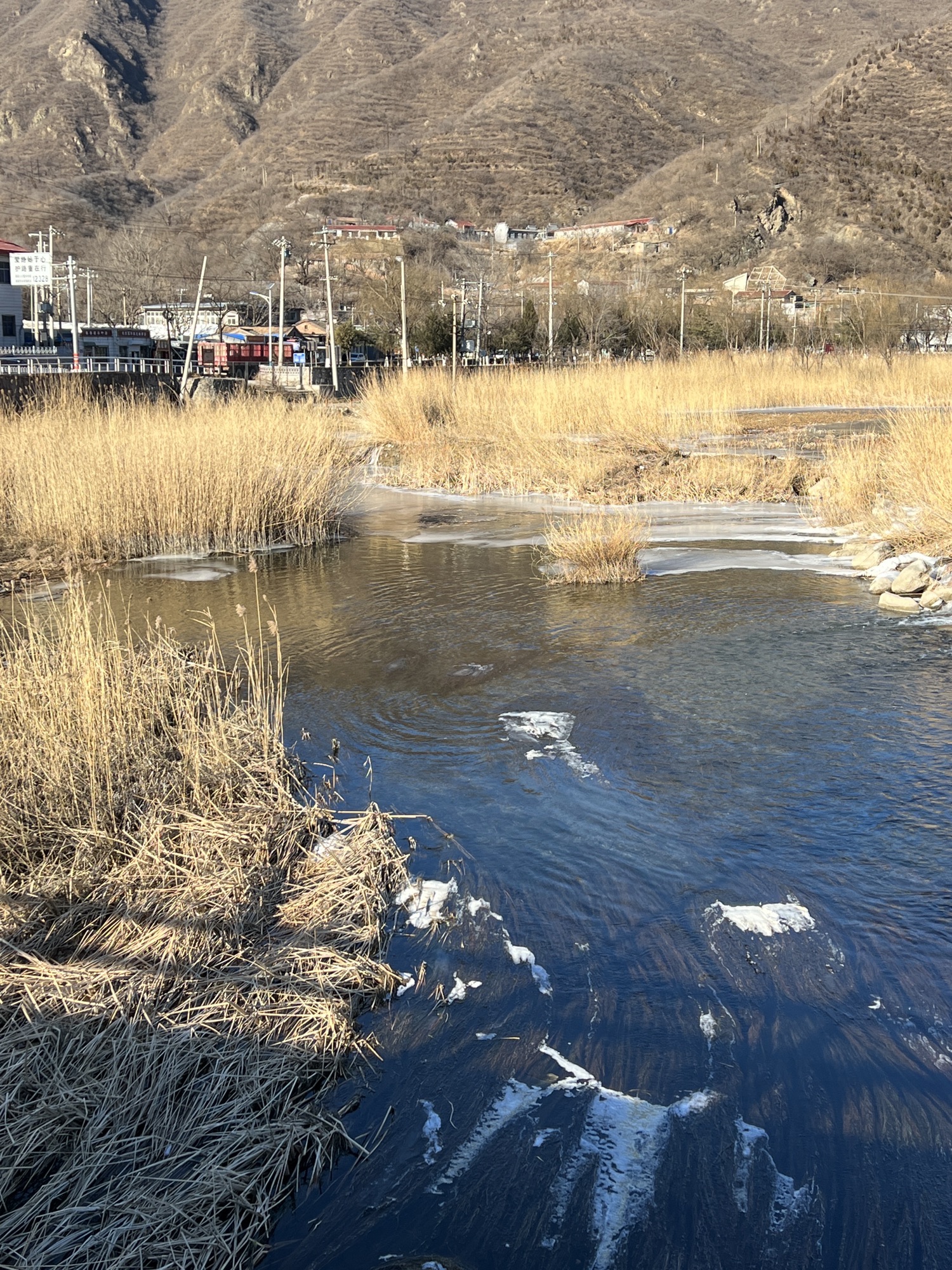 王平湿地旅行图片 2