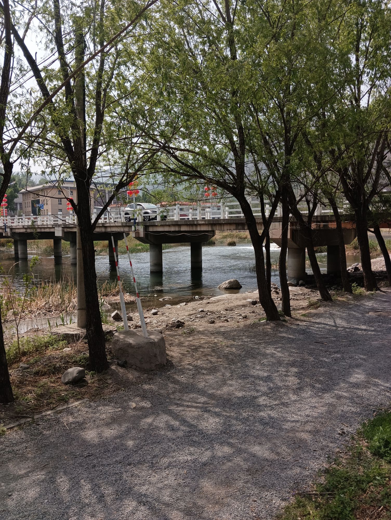 王平湿地旅行图片 3