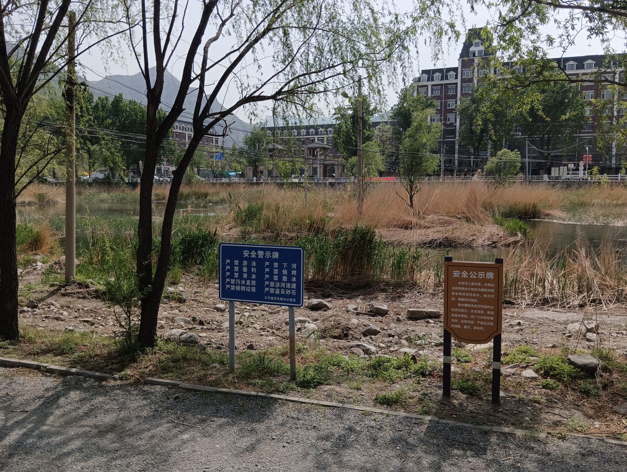 王平湿地旅行图片 2