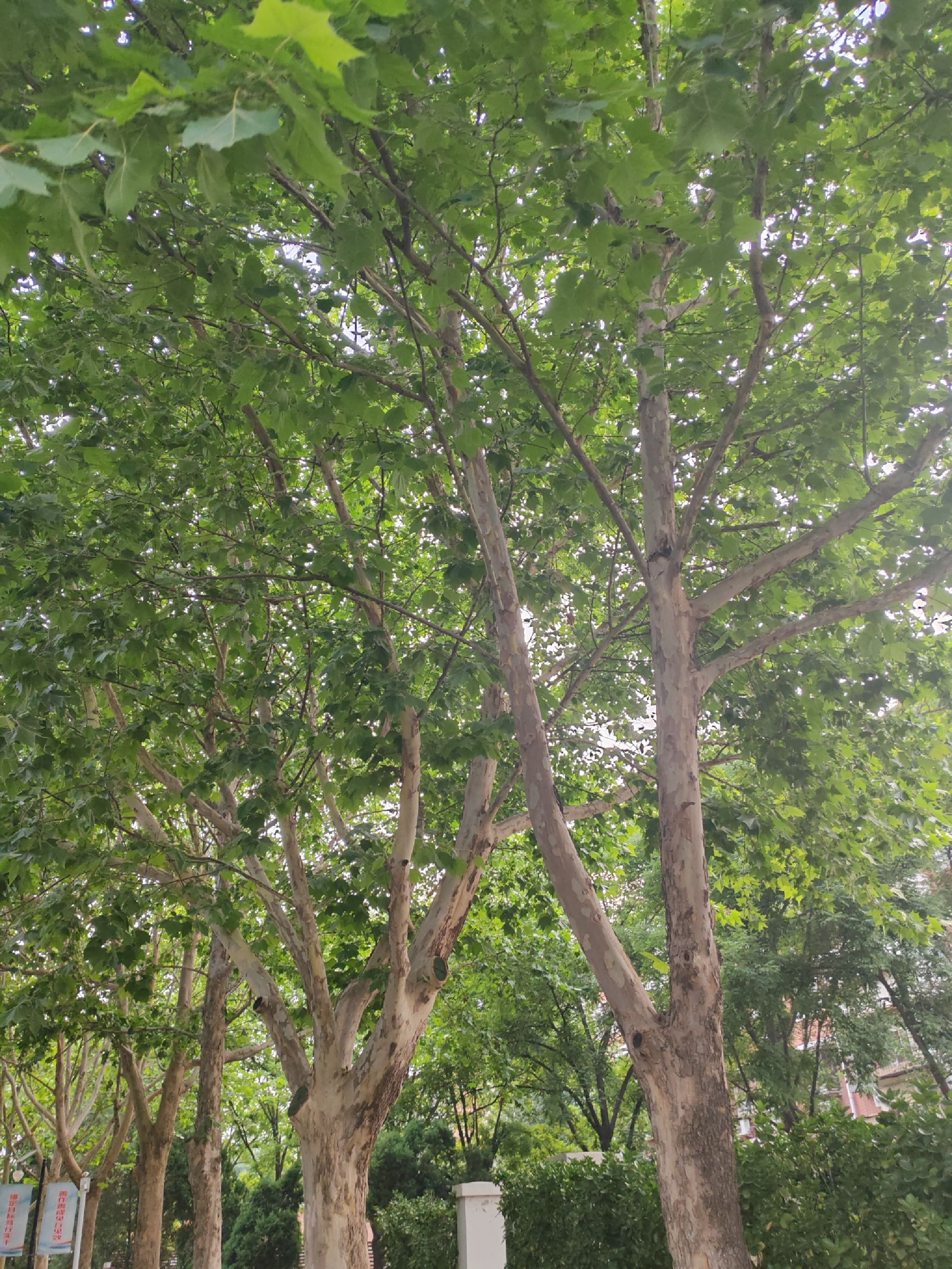 宾悦公园旅行图片 1