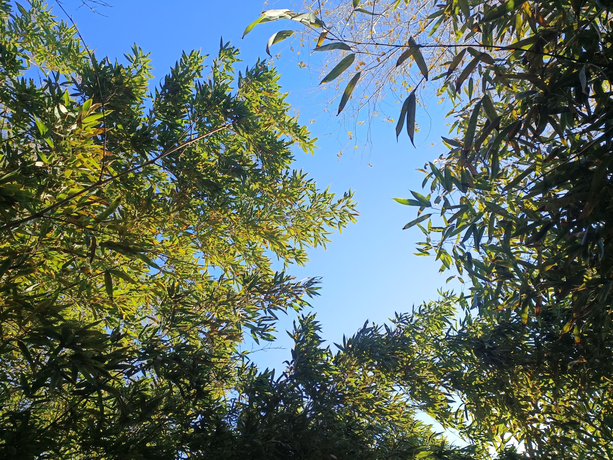 宾悦公园旅行图片 1