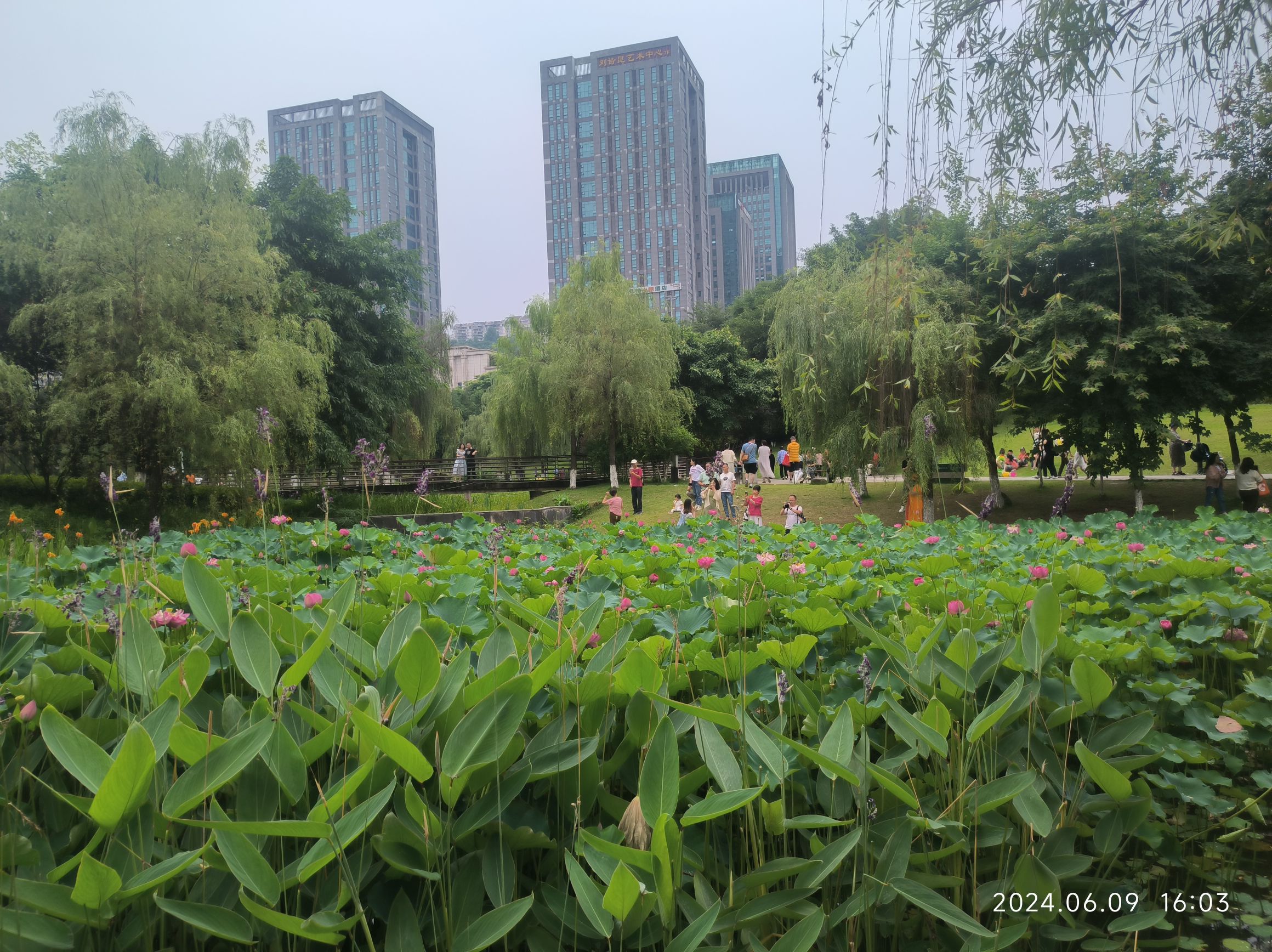沐仙湖湿地公园旅行图片 1