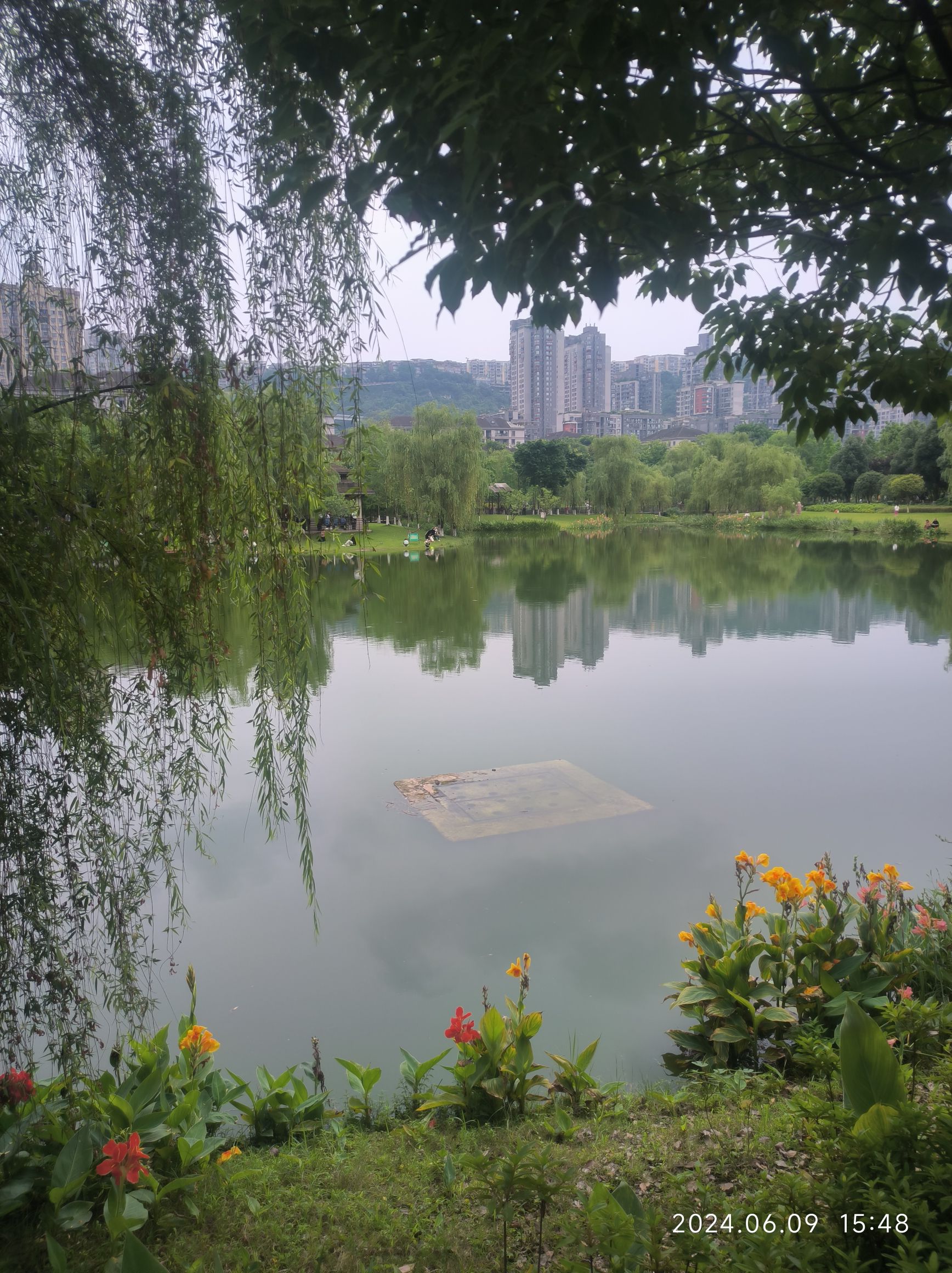 沐仙湖湿地公园旅行图片 2