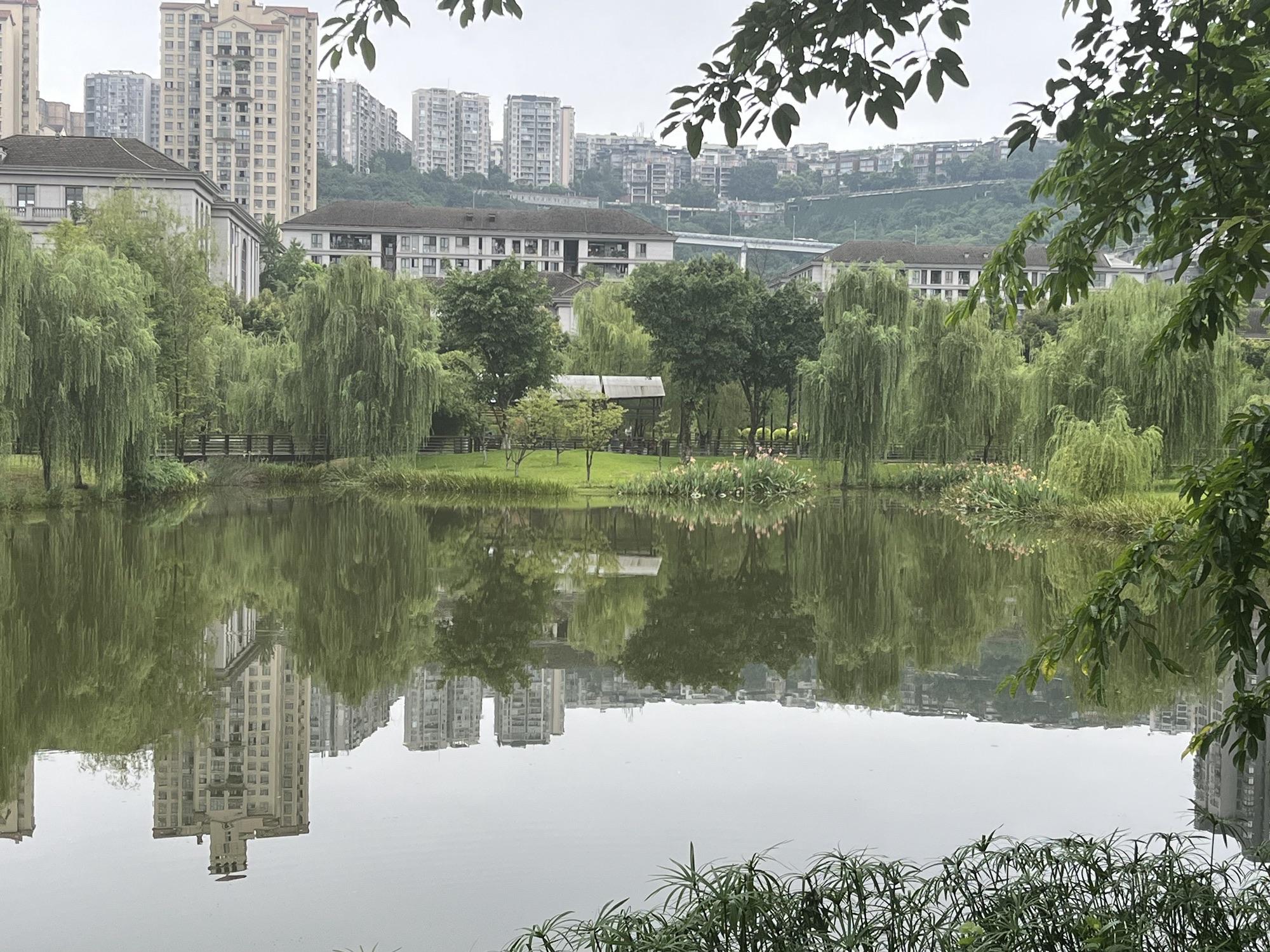 沐仙湖湿地公园旅行图片 2