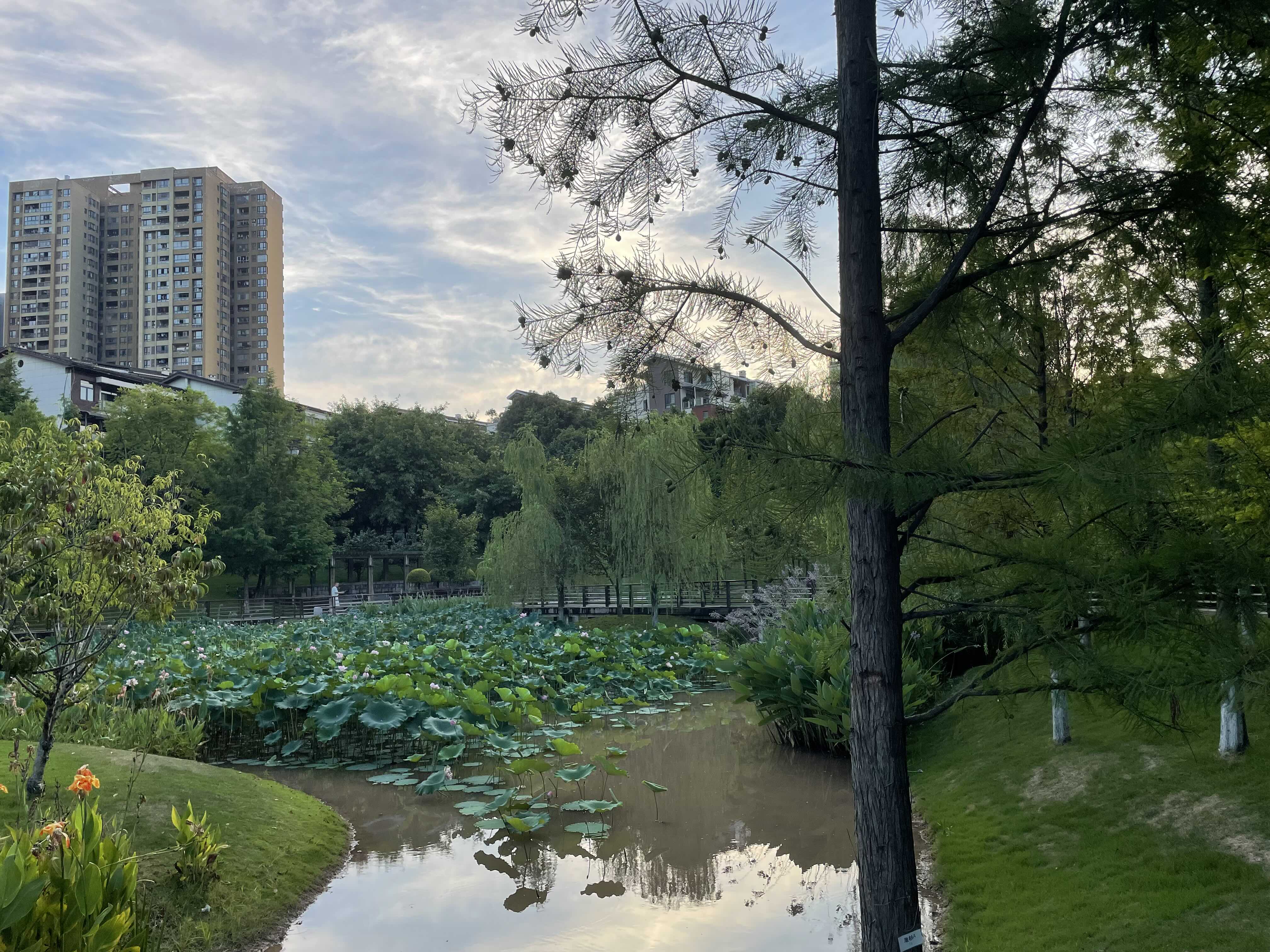 沐仙湖湿地公园