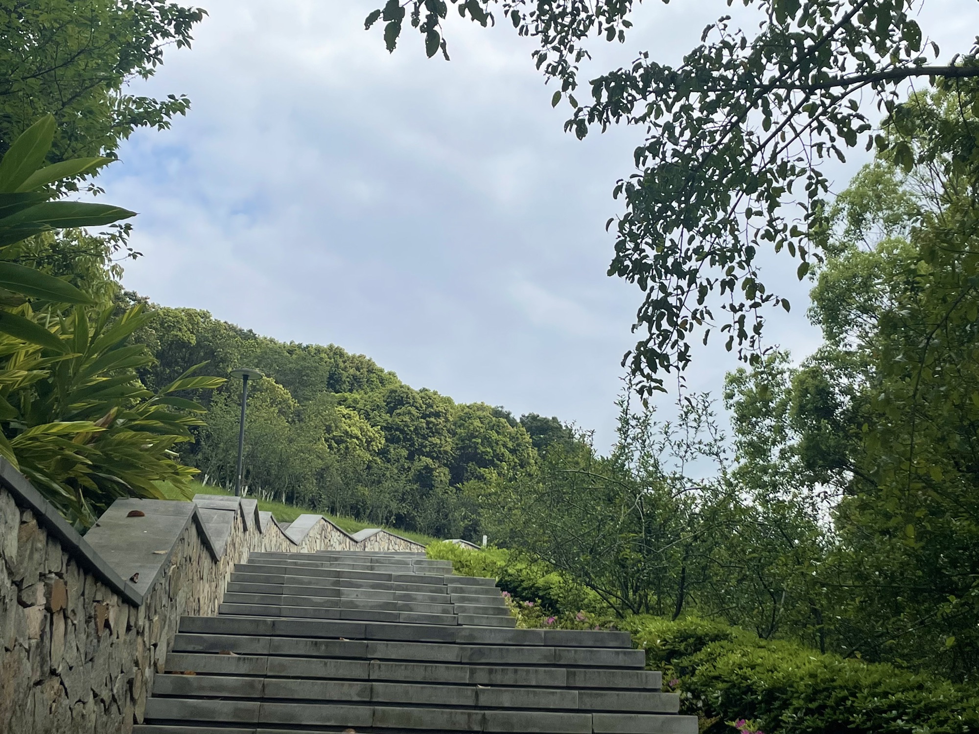 重庆悦来会展公园旅行图片 3