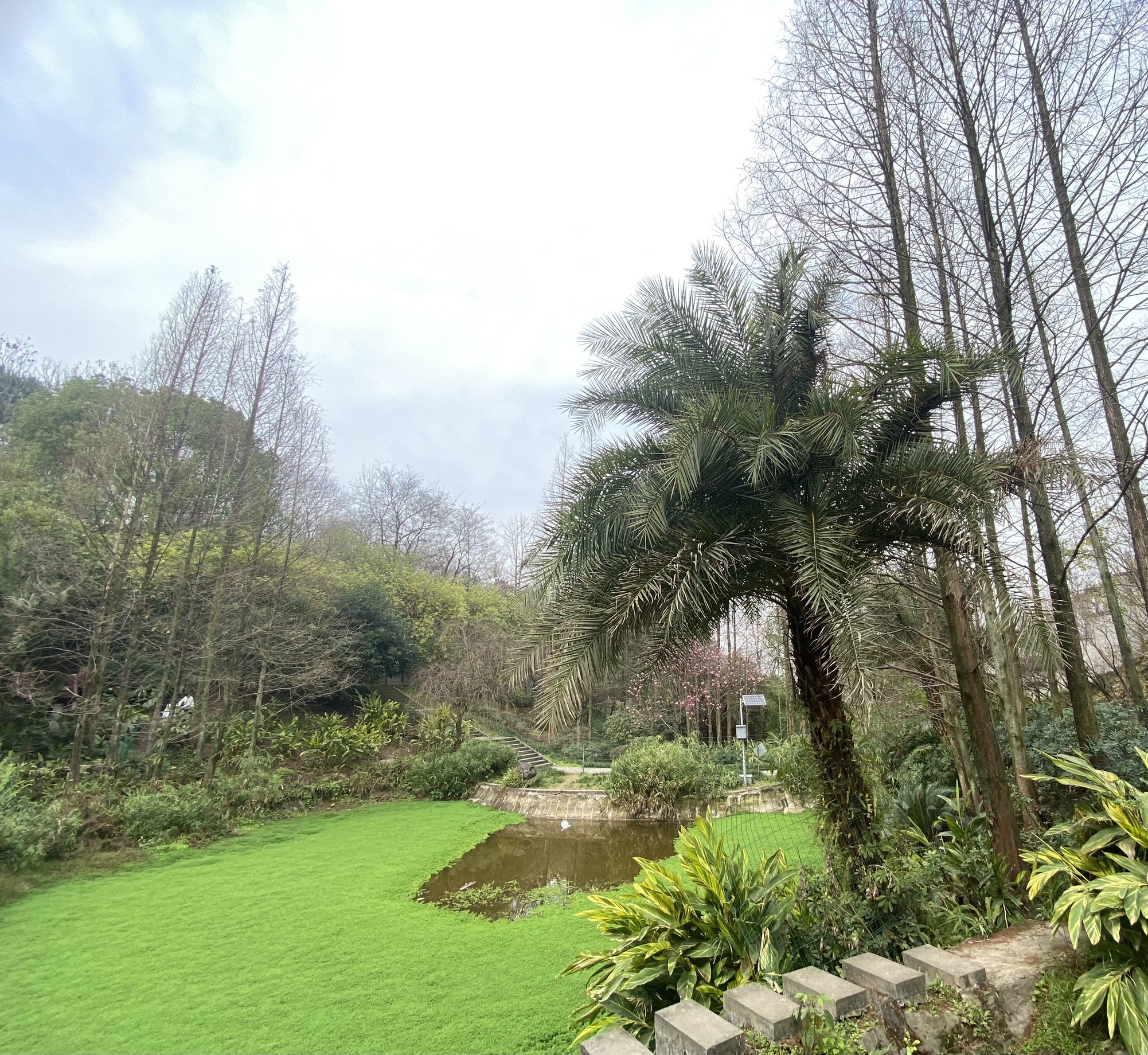 巴文化电影公园旅行图片 2