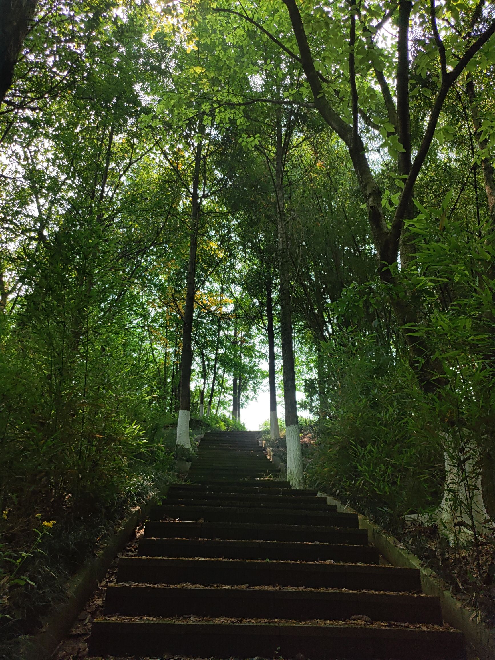 九曲河湿地公园旅行图片 2