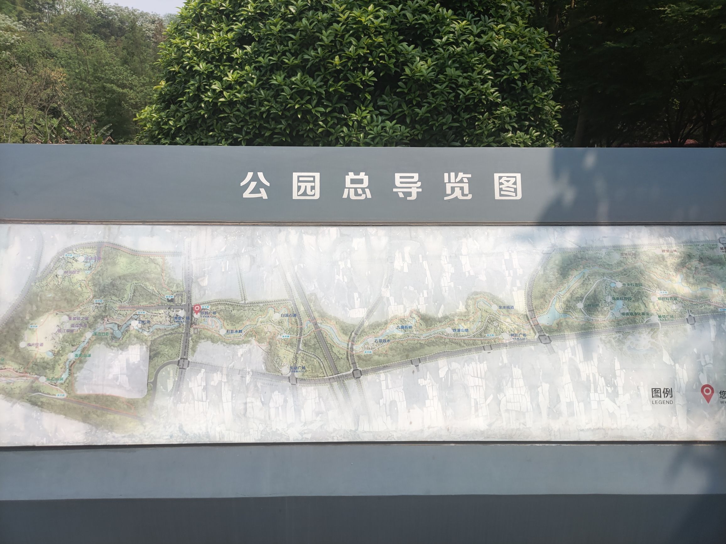 九曲河湿地公园旅行图片 1