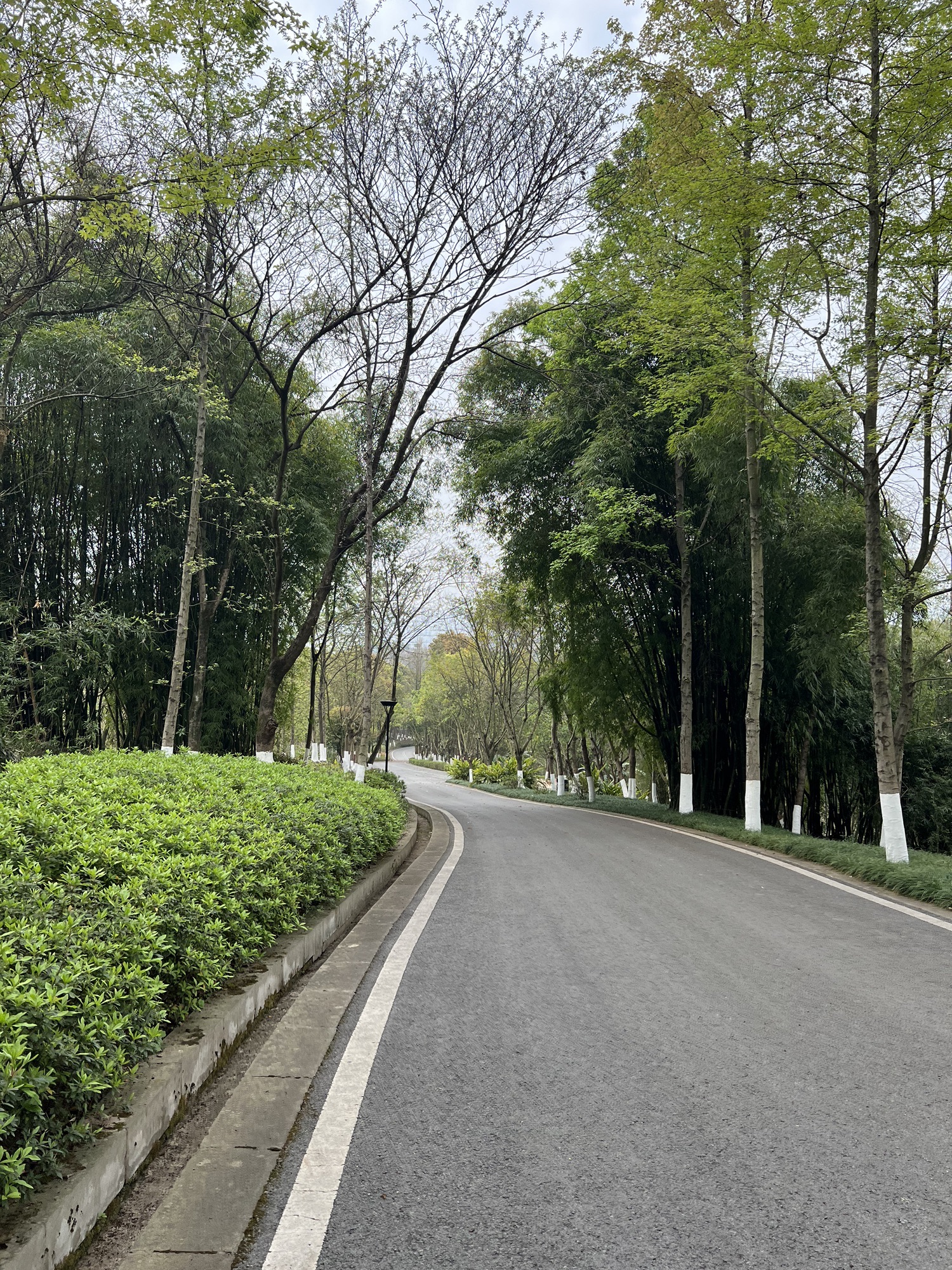九曲河湿地公园旅行图片 3