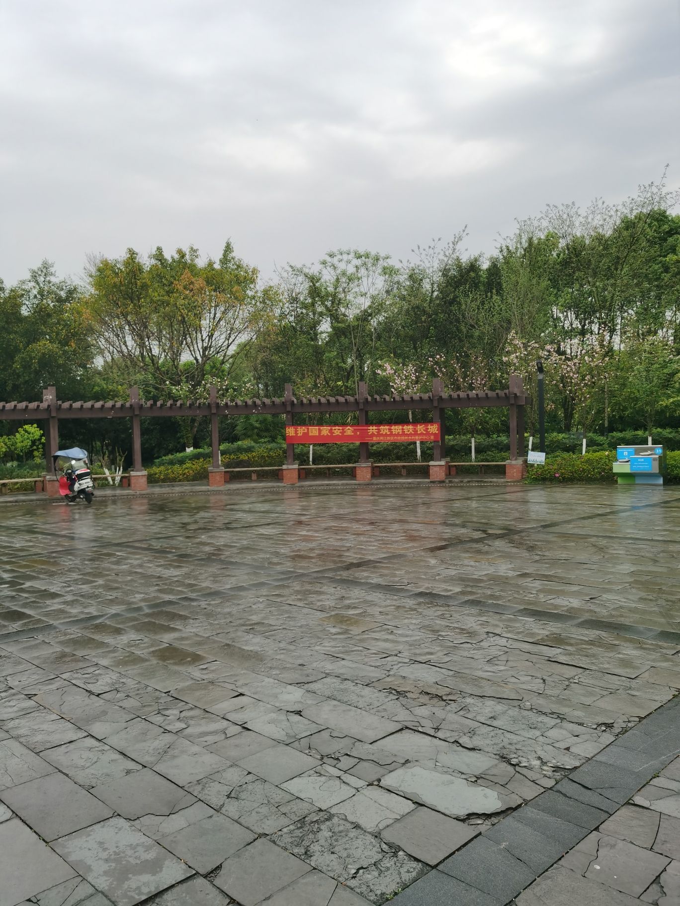 九曲河湿地公园旅行图片 2