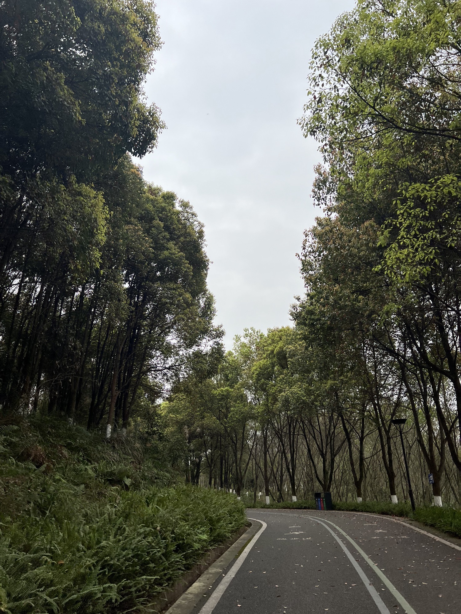 九曲河湿地公园旅行图片 2