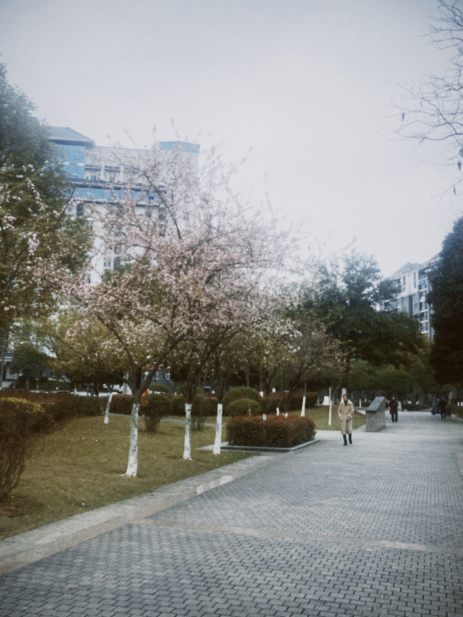 中和广场旅行图片 3