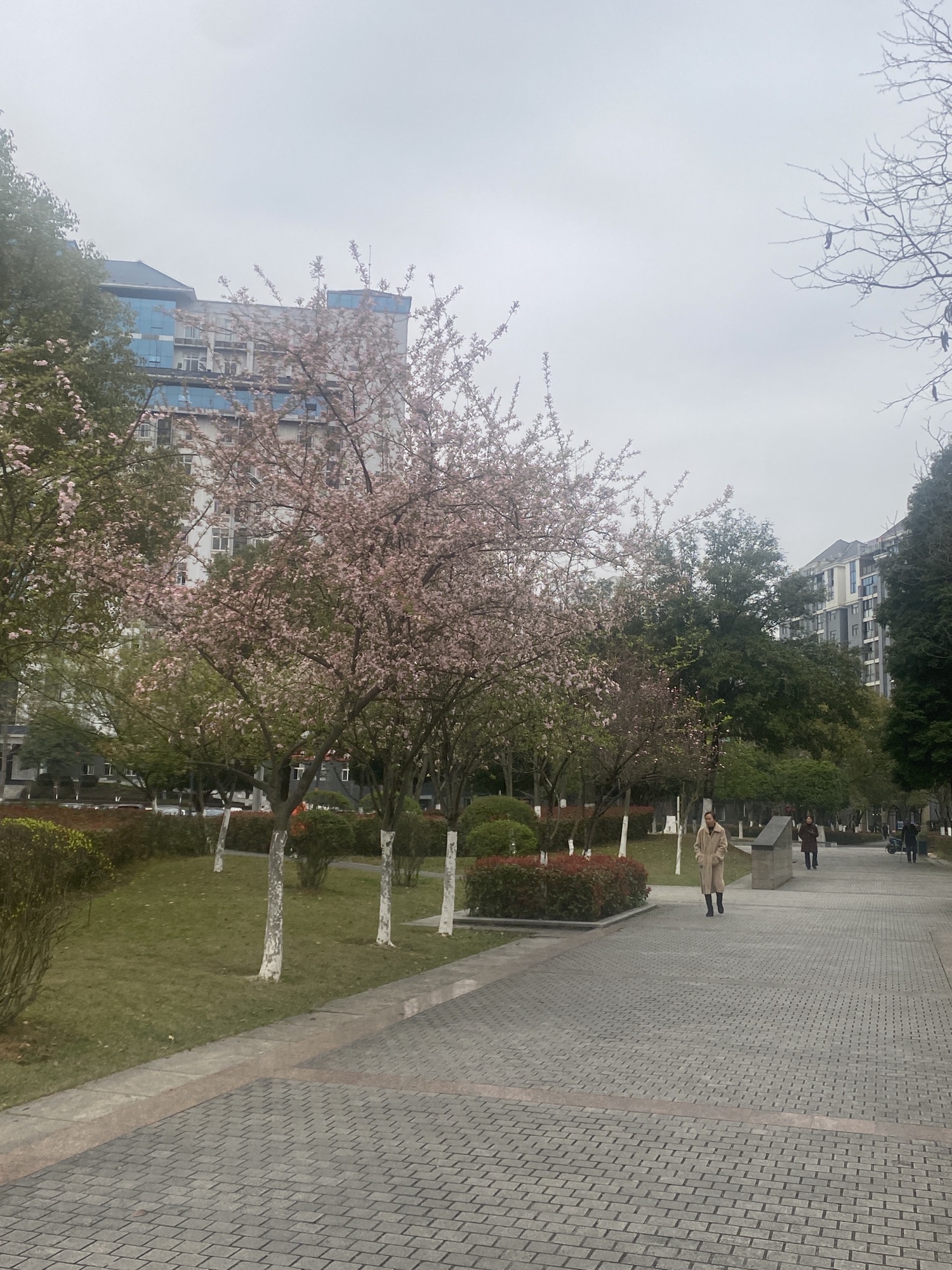 中和广场旅行图片 1
