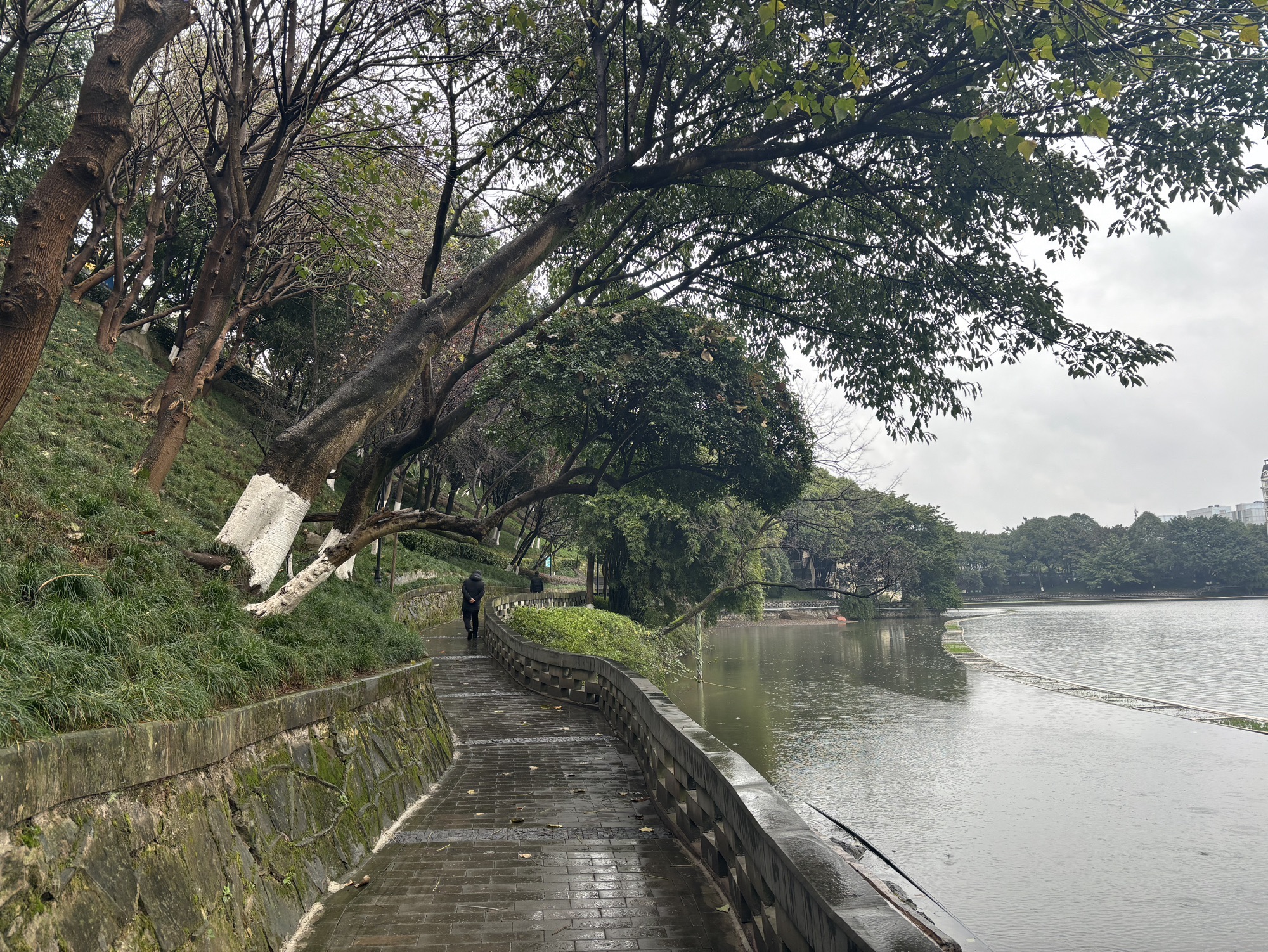 木鱼石公园旅行图片 2