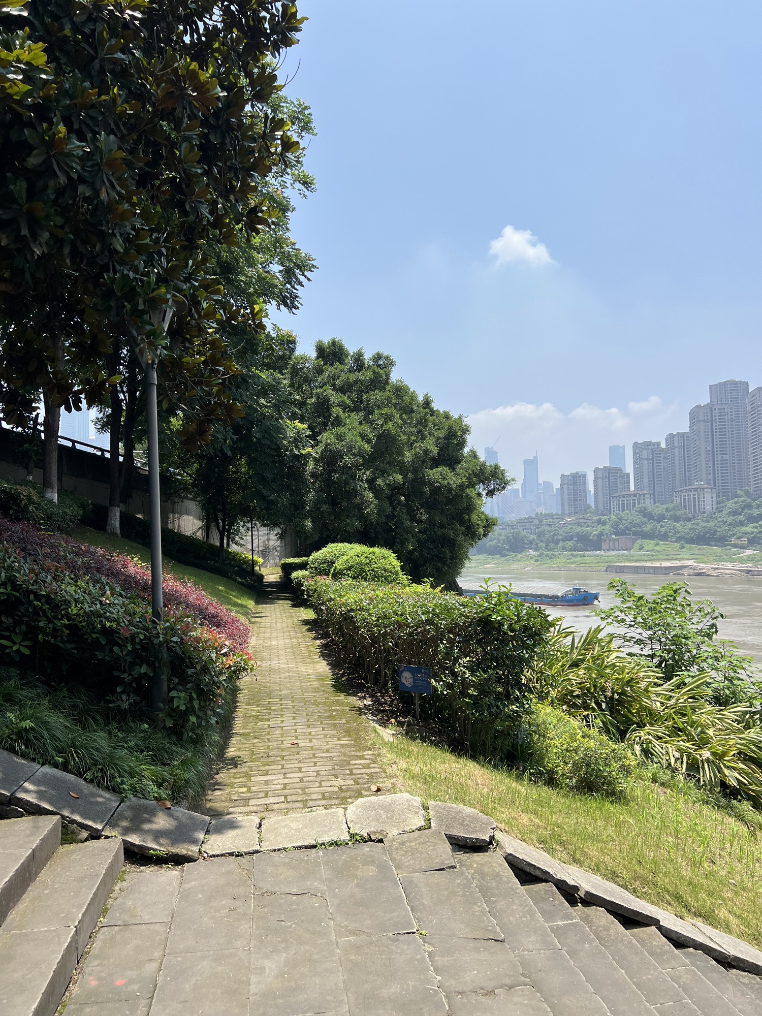 CBD滨江公园旅行图片 3
