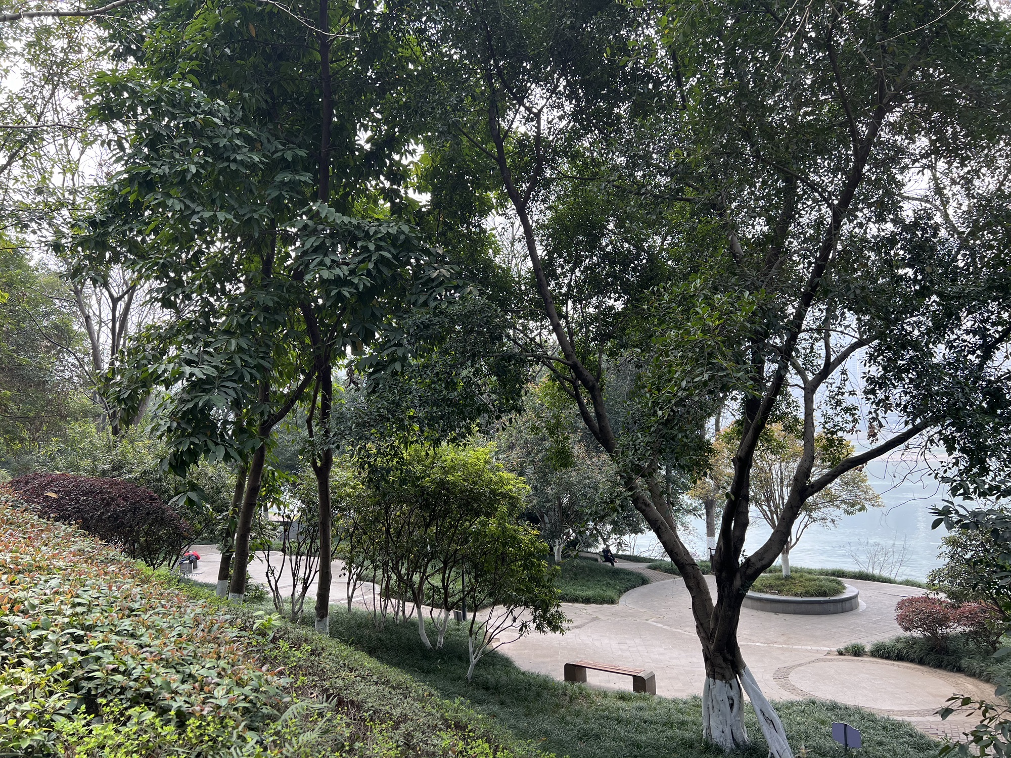 CBD滨江公园旅行图片 3