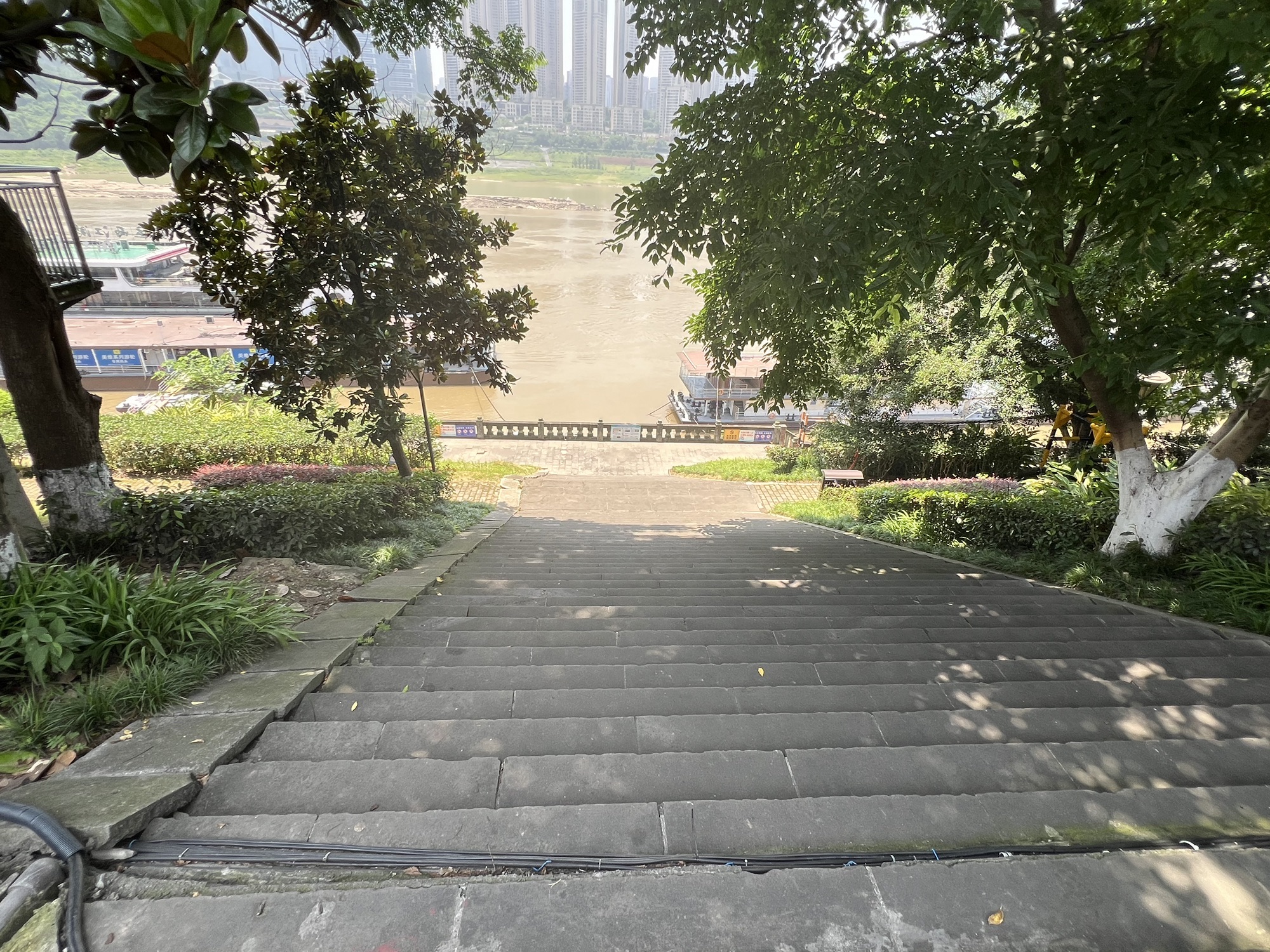 CBD滨江公园旅行图片 2