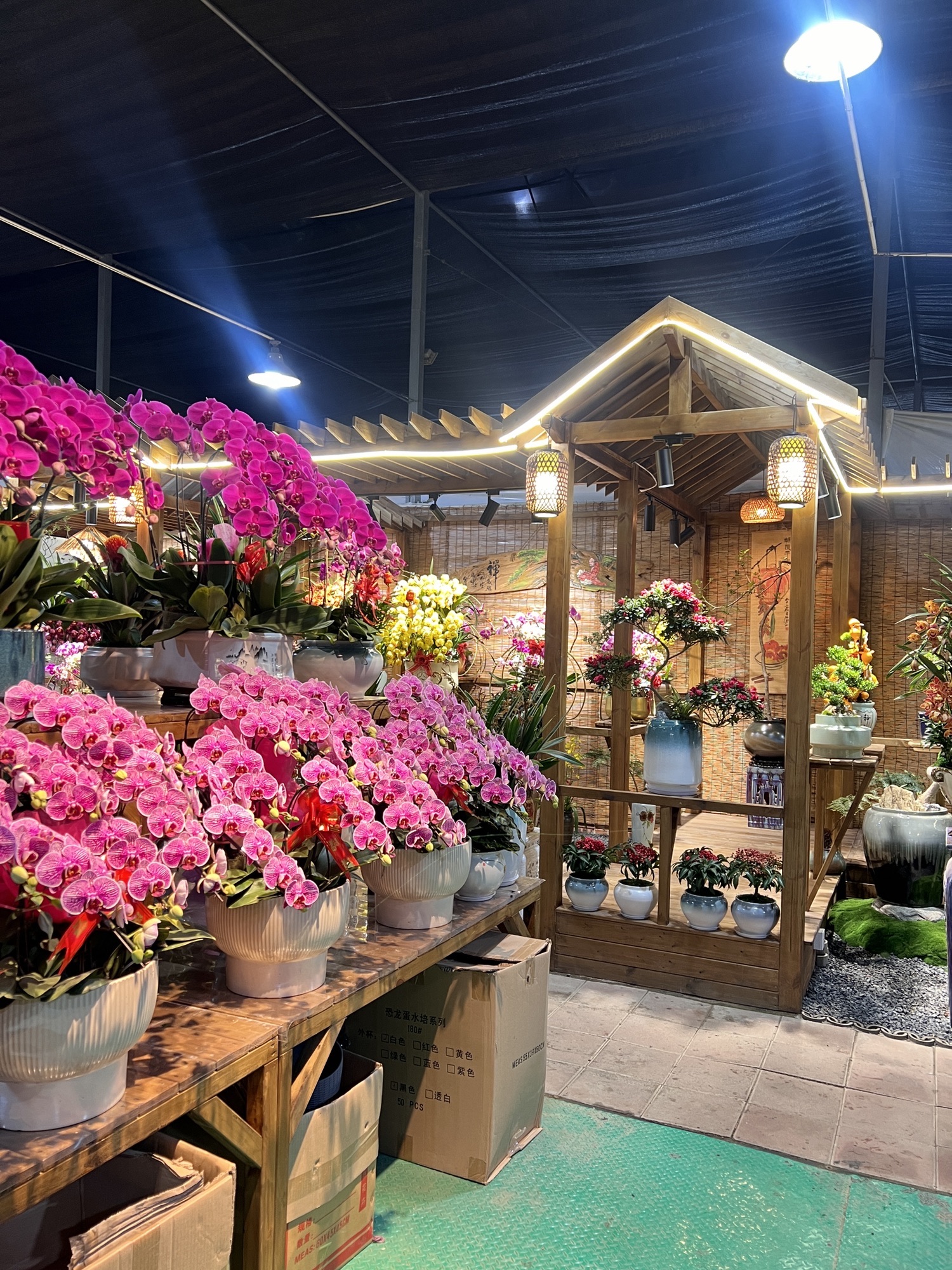 广州花卉之都