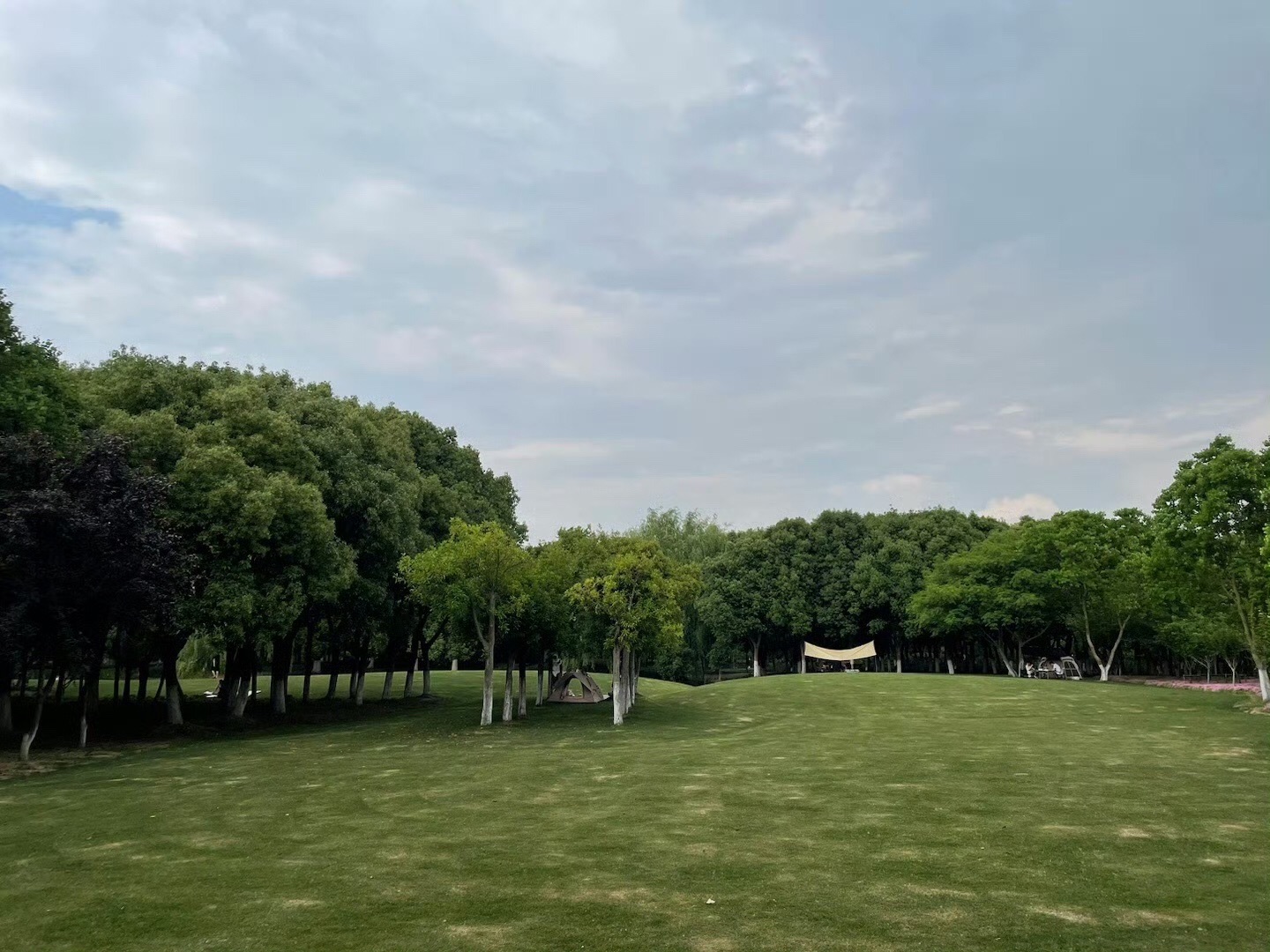 穆湖森林公园旅行图片 3