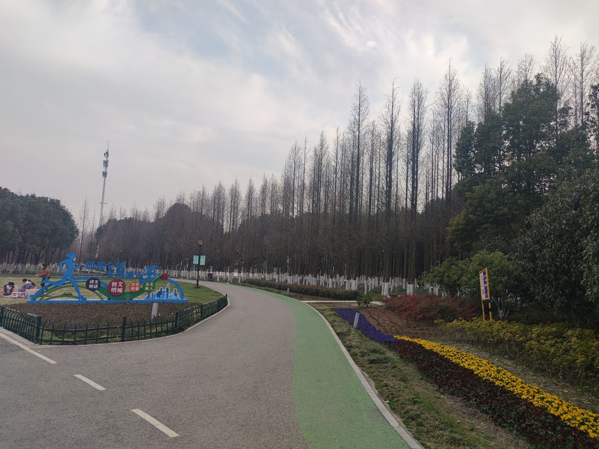穆湖森林公园旅行图片 2