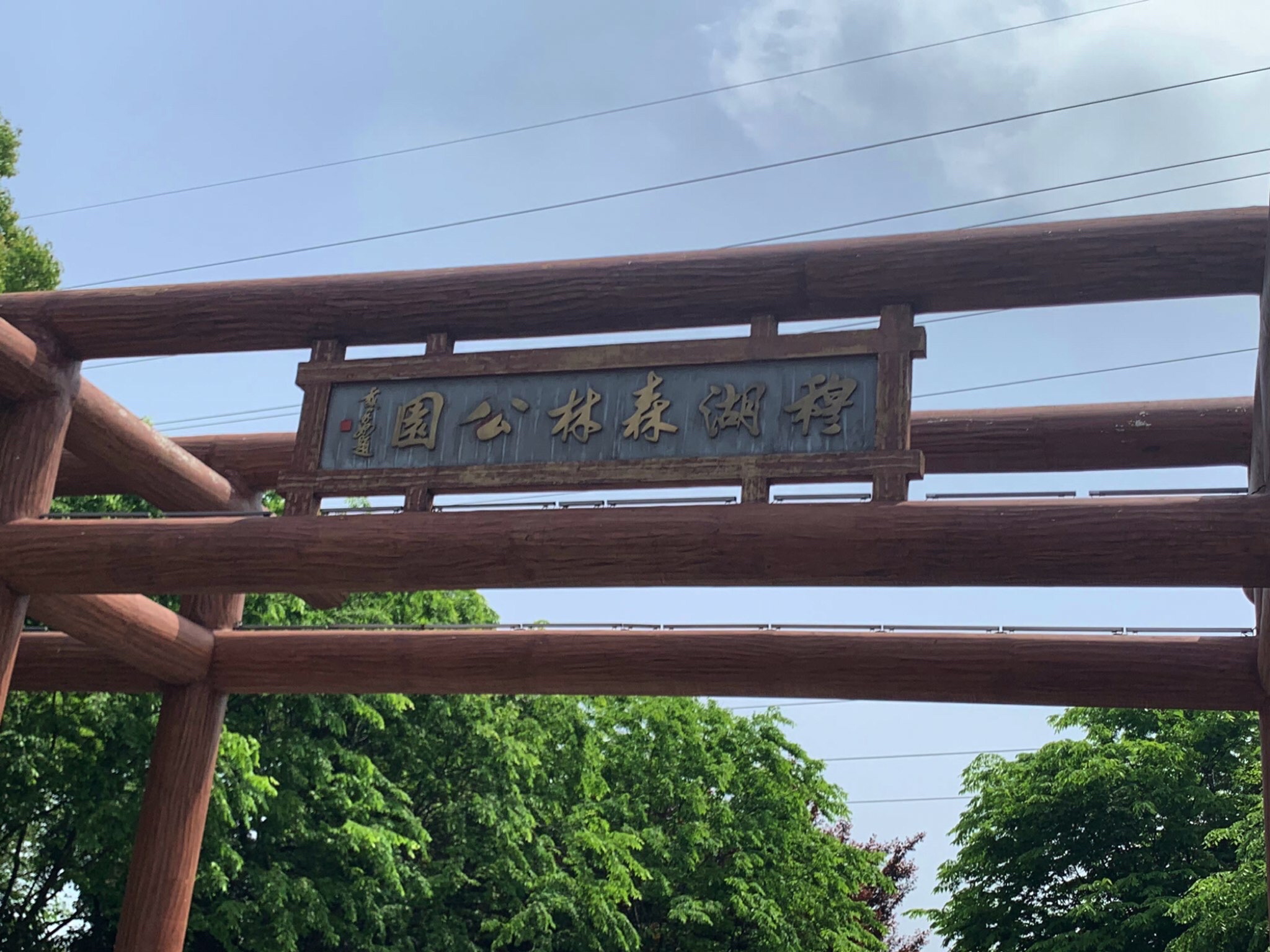 穆湖森林公园旅行图片 1