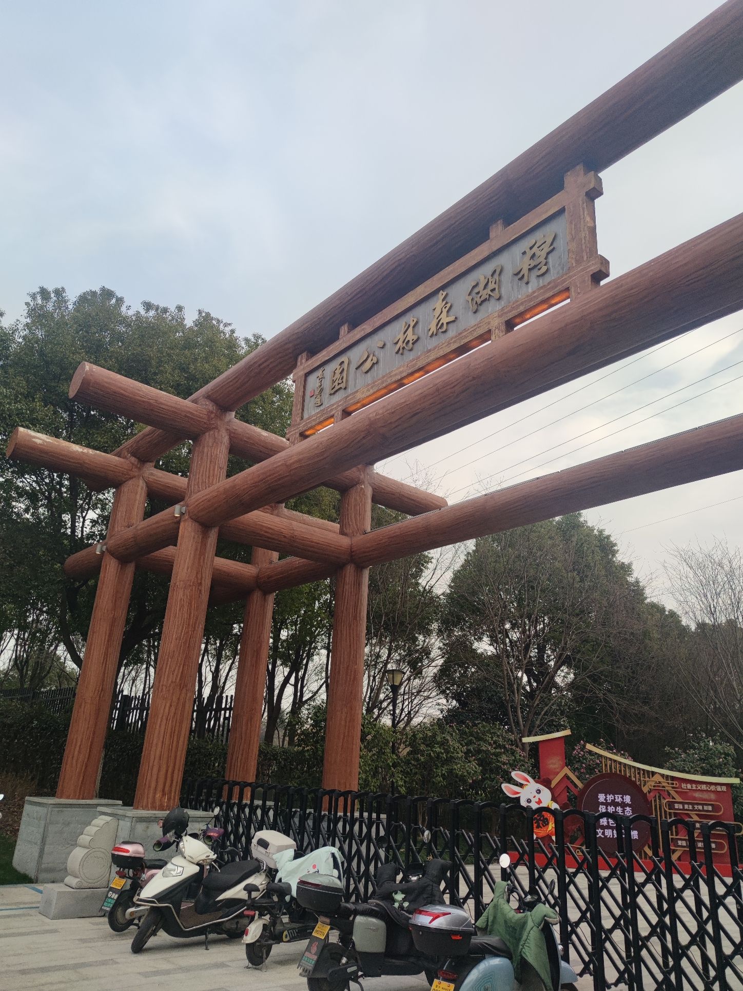 穆湖森林公园旅行图片 1