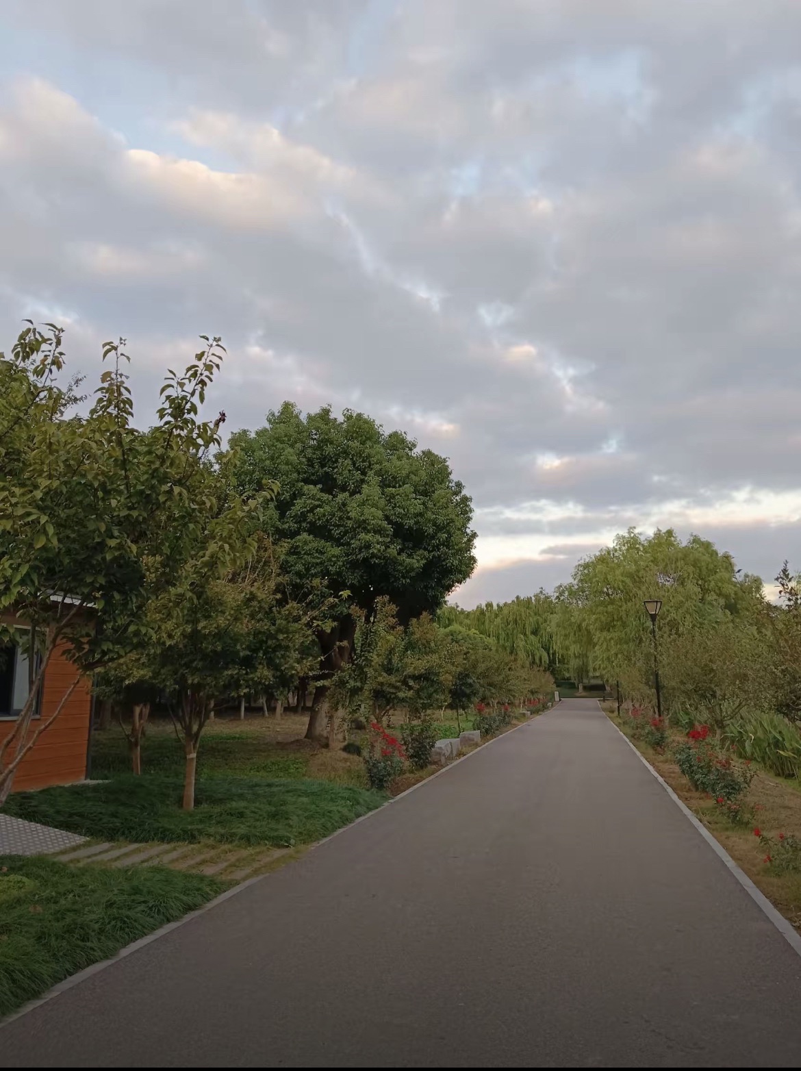 穆湖森林公园旅行图片 3