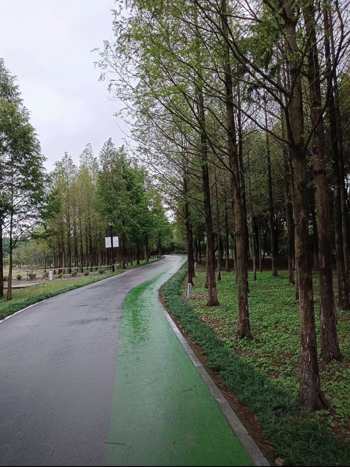 穆湖森林公园旅行图片 1