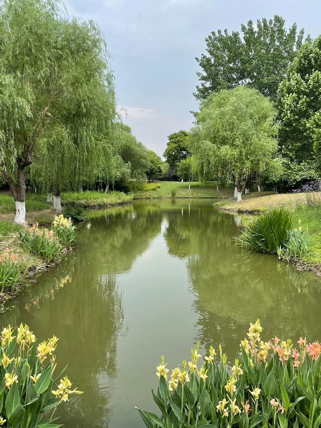 穆湖森林公园旅行图片 2