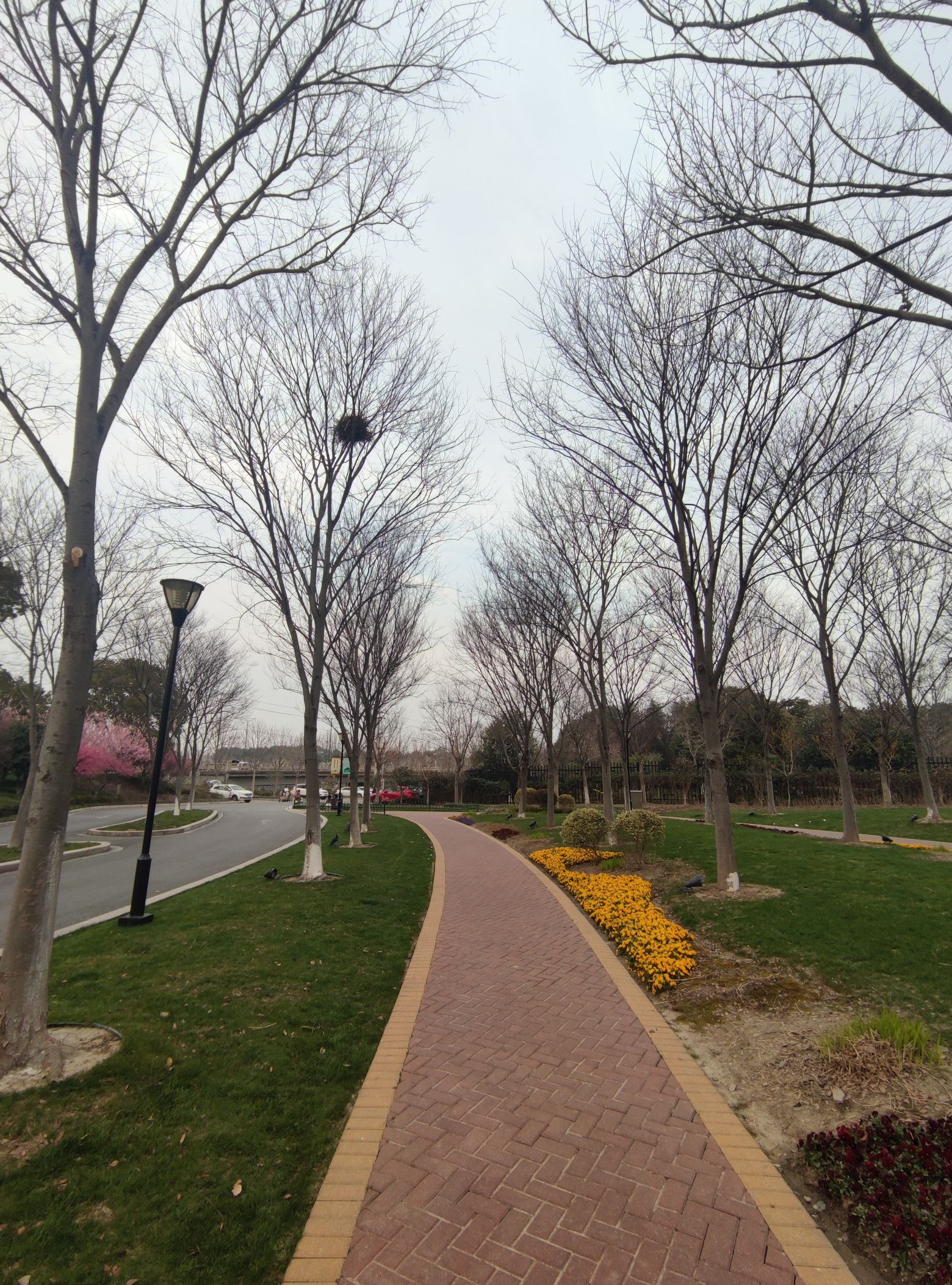 穆湖森林公园旅行图片 3