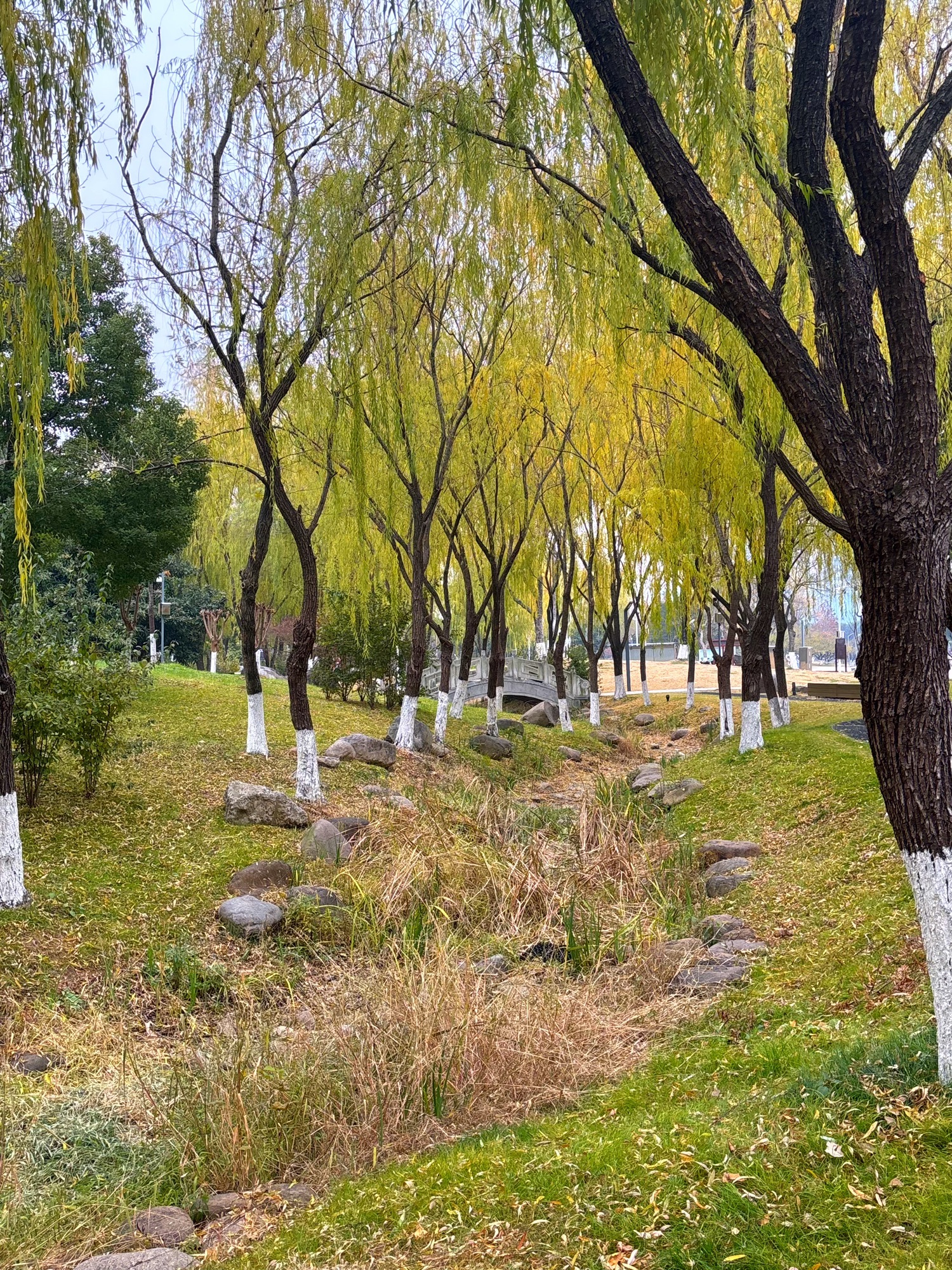江宁(杨家圩)市民公园旅行图片 3