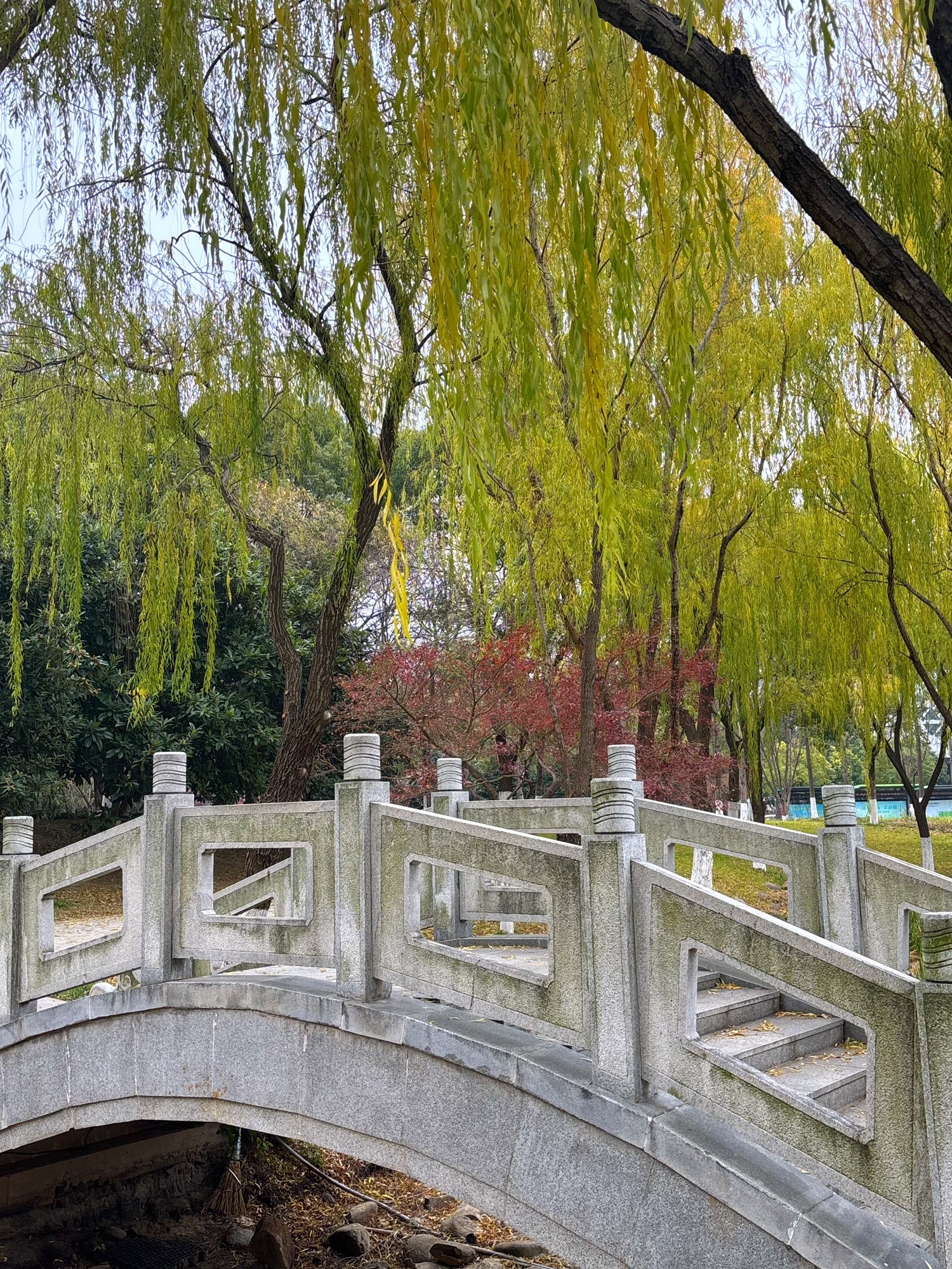 江宁(杨家圩)市民公园旅行图片 2
